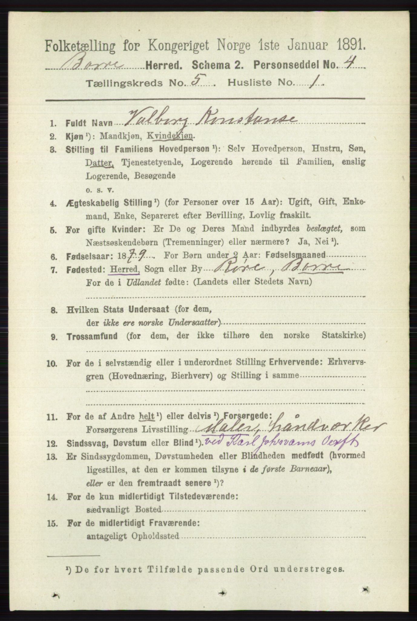 RA, 1891 census for 0717 Borre, 1891, p. 2015