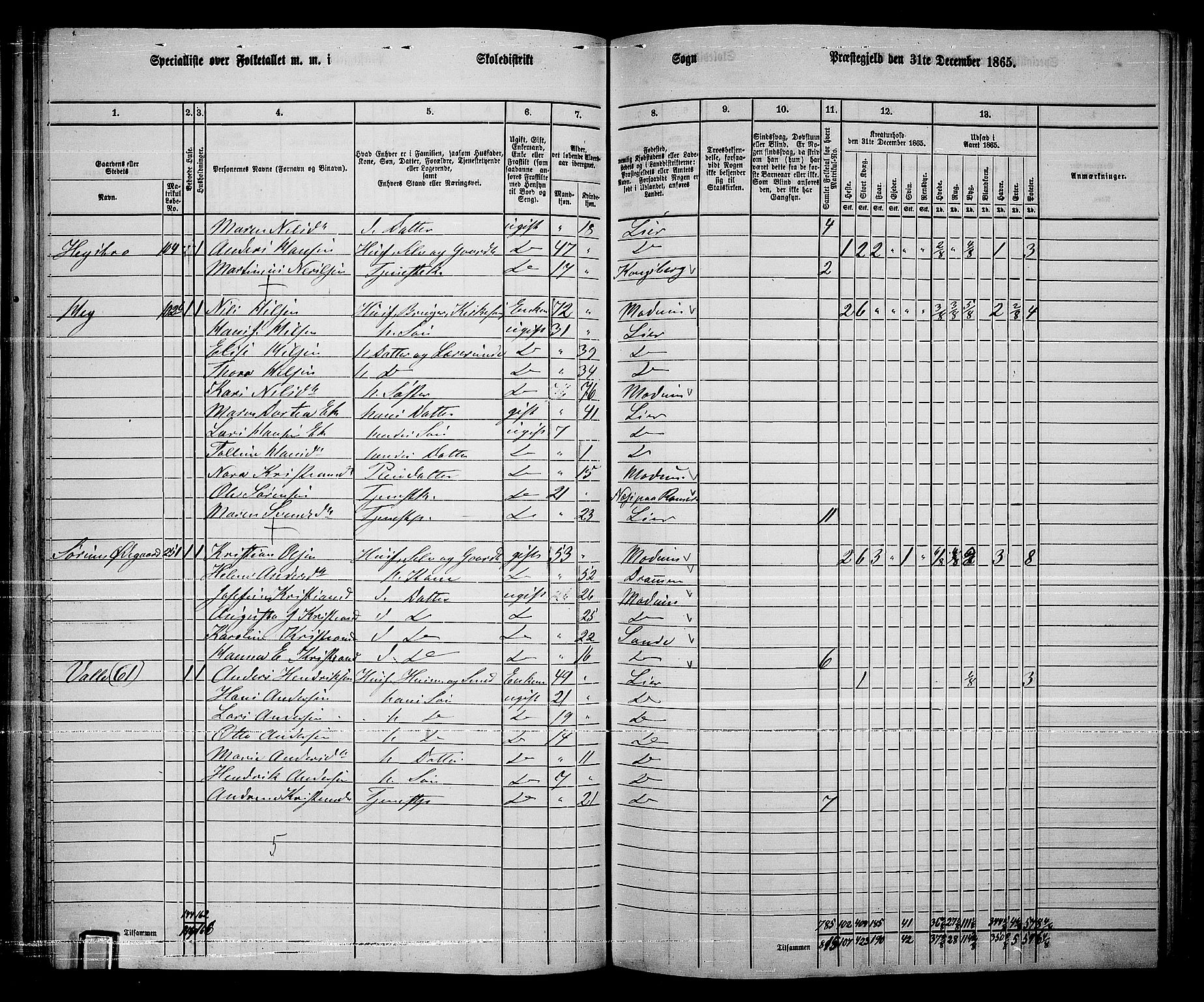 RA, 1865 census for Lier, 1865, p. 67