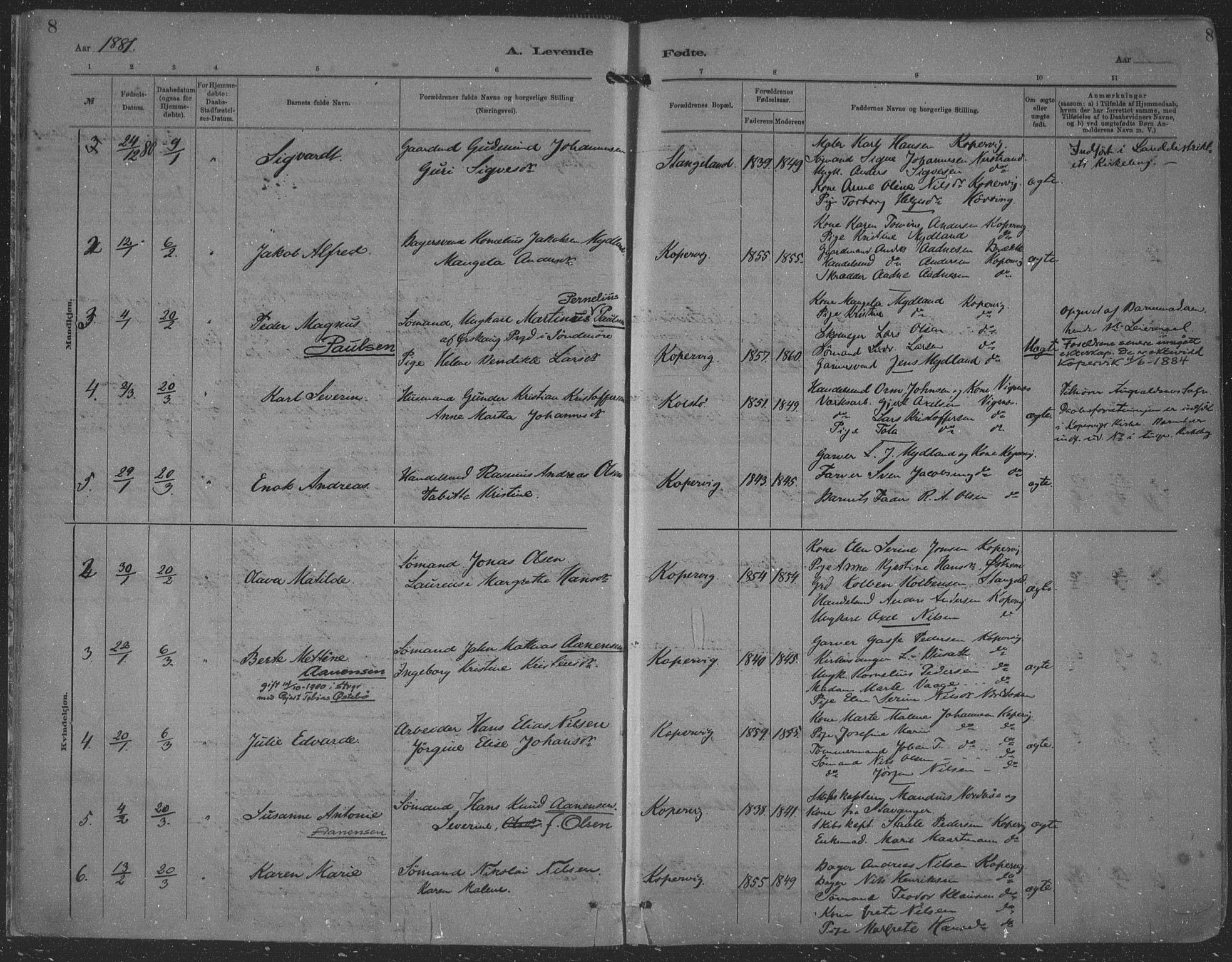 Kopervik sokneprestkontor, AV/SAST-A-101850/H/Ha/Haa/L0001: Parish register (official) no. A 1, 1880-1919, p. 8