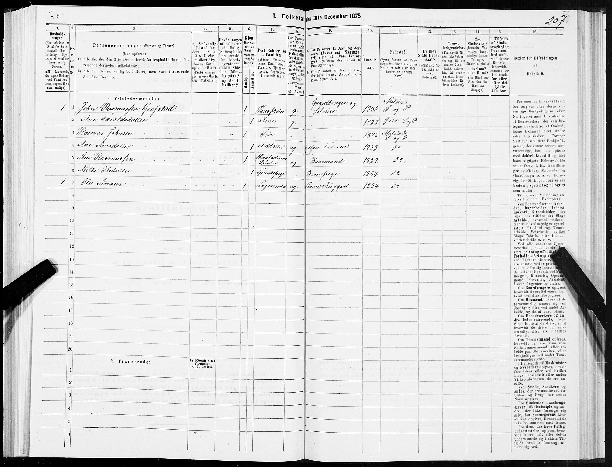 SAT, 1875 census for 1636P Meldal, 1875, p. 2207