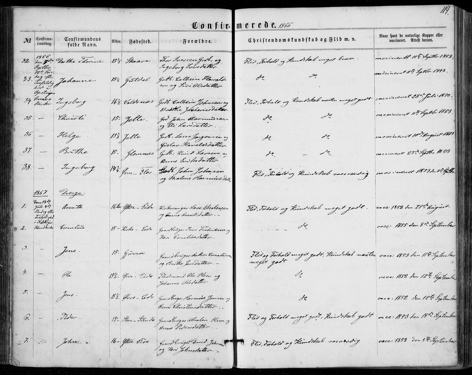Stryn Sokneprestembete, SAB/A-82501: Parish register (official) no. A 3, 1862-1877, p. 119