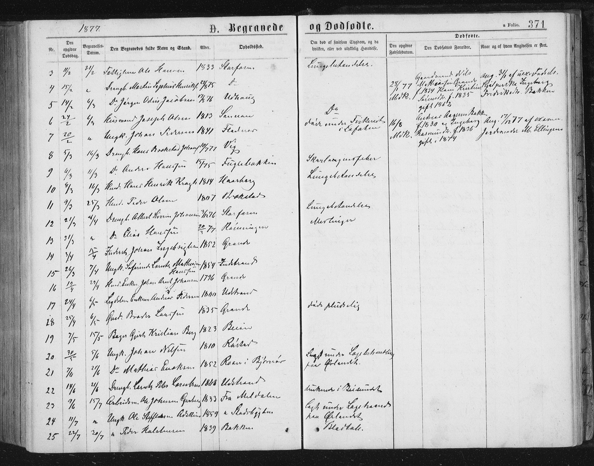 Ministerialprotokoller, klokkerbøker og fødselsregistre - Sør-Trøndelag, AV/SAT-A-1456/659/L0745: Parish register (copy) no. 659C02, 1869-1892, p. 371