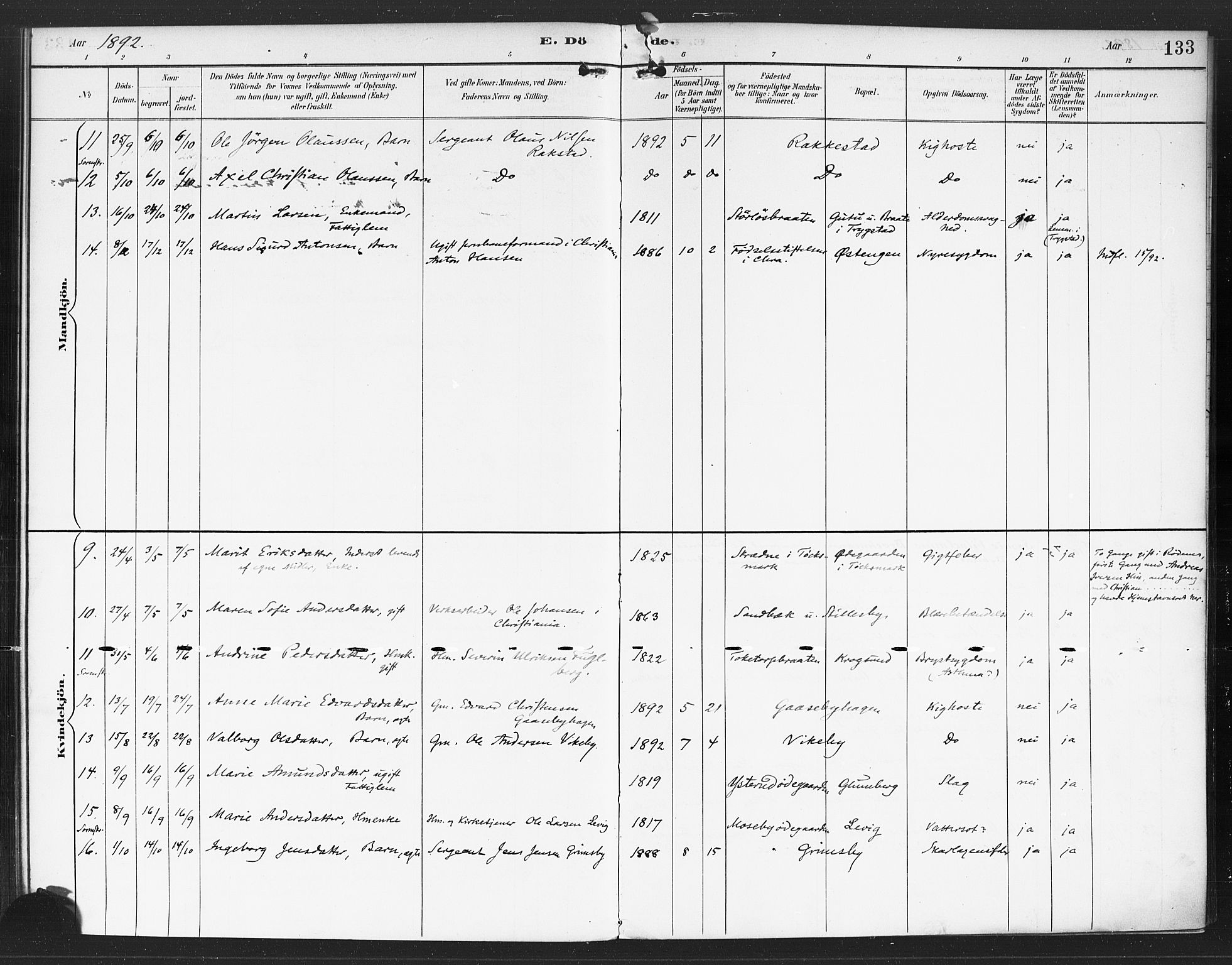 Rødenes prestekontor Kirkebøker, AV/SAO-A-2005/F/Fa/L0010: Parish register (official) no. I 10, 1890-1900, p. 133