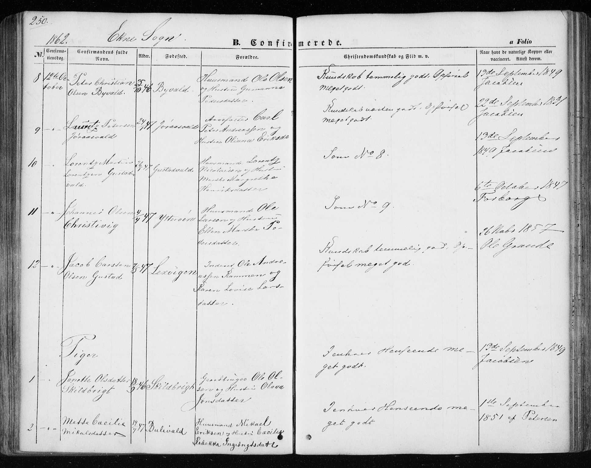 Ministerialprotokoller, klokkerbøker og fødselsregistre - Nord-Trøndelag, AV/SAT-A-1458/717/L0154: Parish register (official) no. 717A07 /1, 1850-1862, p. 250