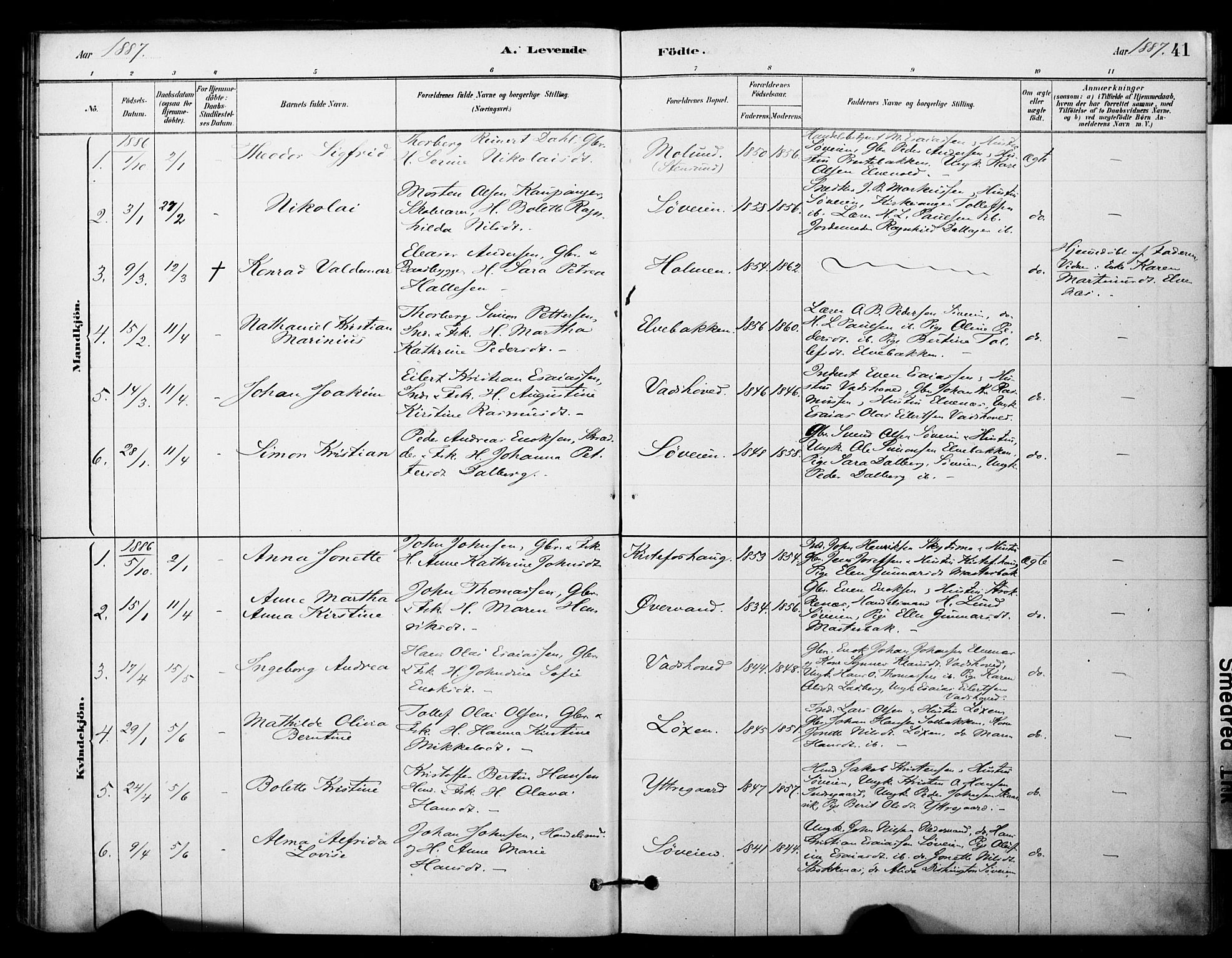 Ibestad sokneprestembete, AV/SATØ-S-0077/H/Ha/Haa/L0014kirke: Parish register (official) no. 14, 1880-1887, p. 41