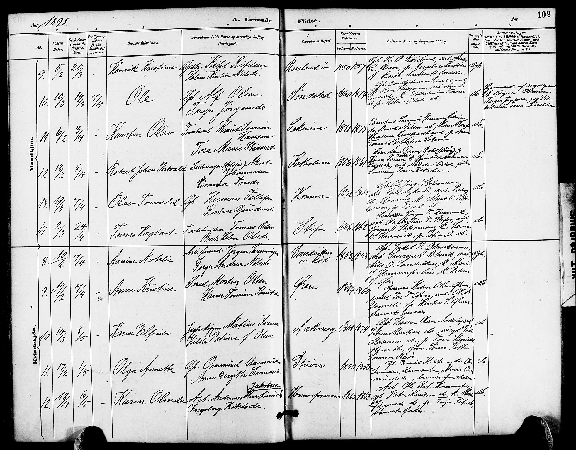 Søndeled sokneprestkontor, AV/SAK-1111-0038/F/Fa/L0005: Parish register (official) no. A 5, 1889-1899, p. 102