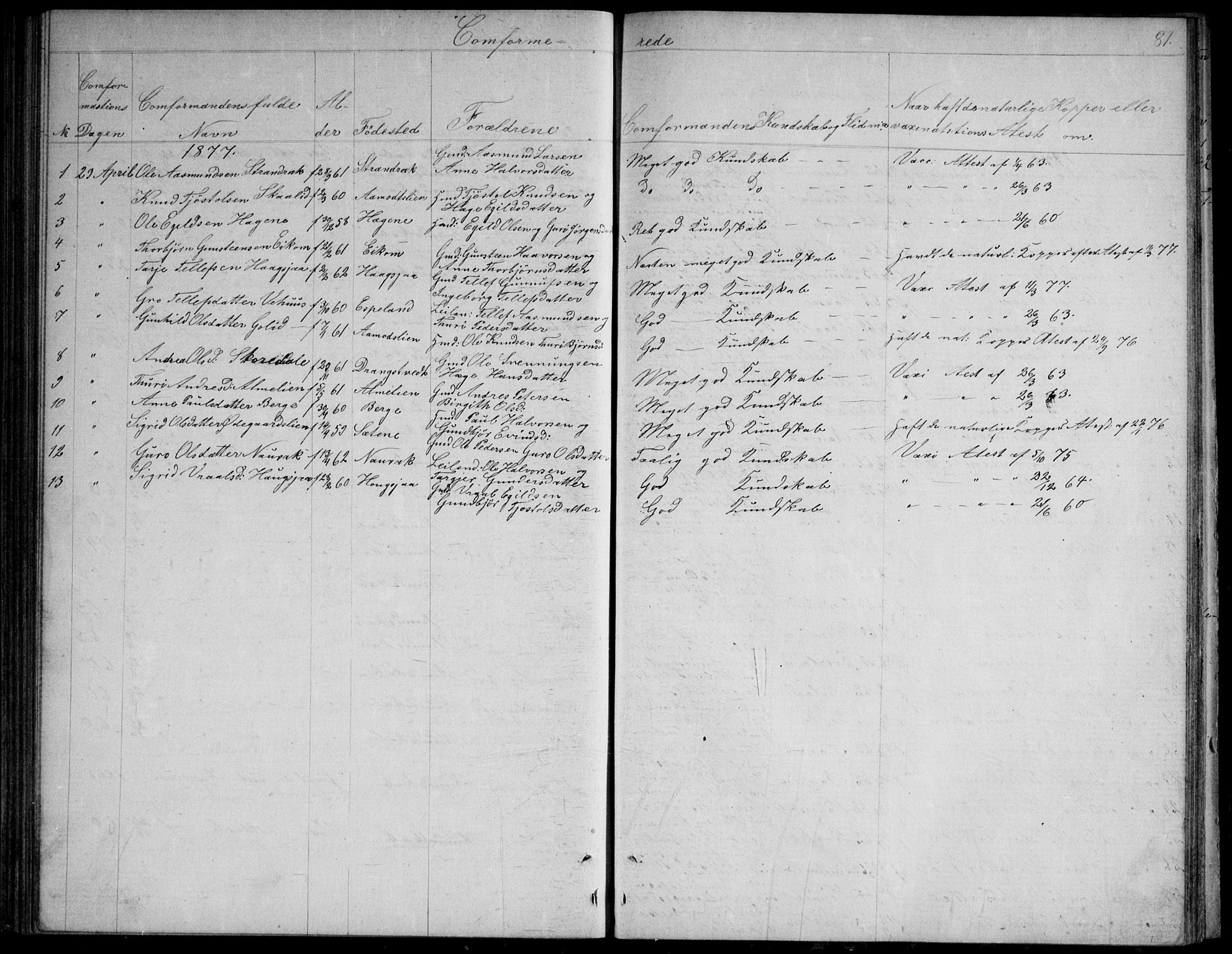 Nissedal kirkebøker, SAKO/A-288/G/Gb/L0002: Parish register (copy) no. II 2, 1863-1892, p. 81