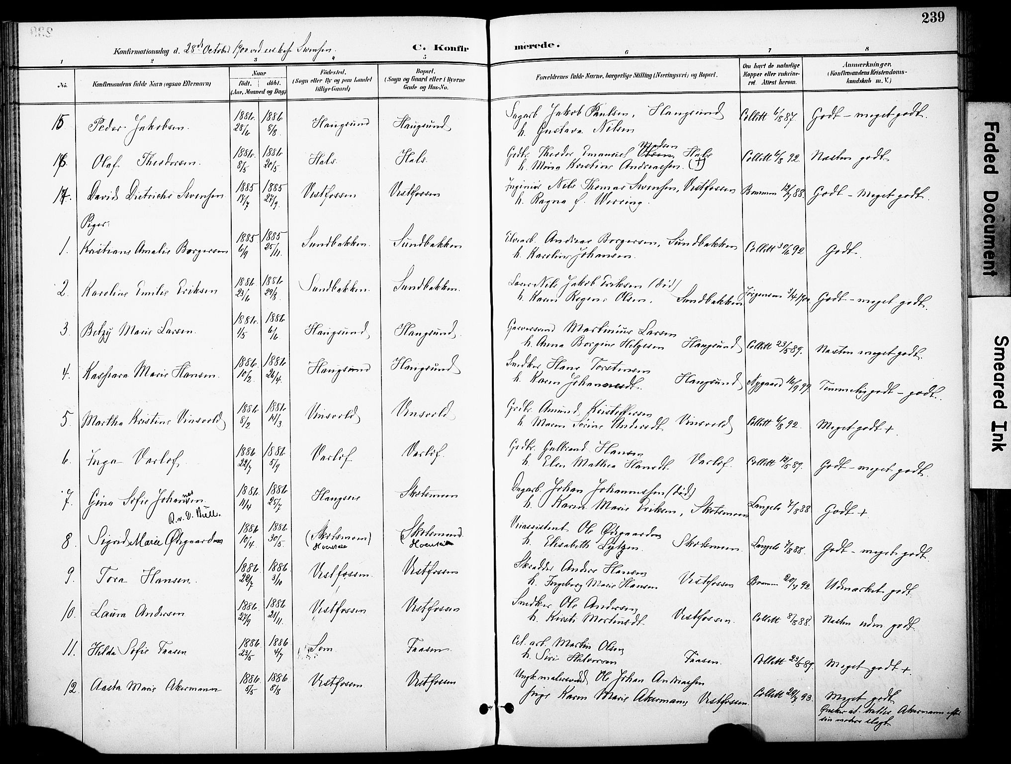 Eiker kirkebøker, AV/SAKO-A-4/F/Fb/L0003: Parish register (official) no. II 3, 1896-1942, p. 239