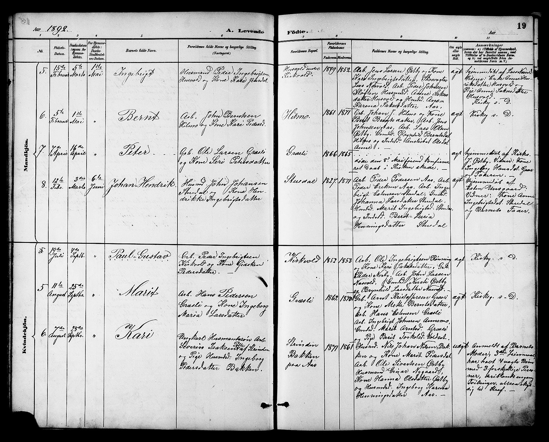 Ministerialprotokoller, klokkerbøker og fødselsregistre - Sør-Trøndelag, SAT/A-1456/698/L1167: Parish register (copy) no. 698C04, 1888-1907, p. 19