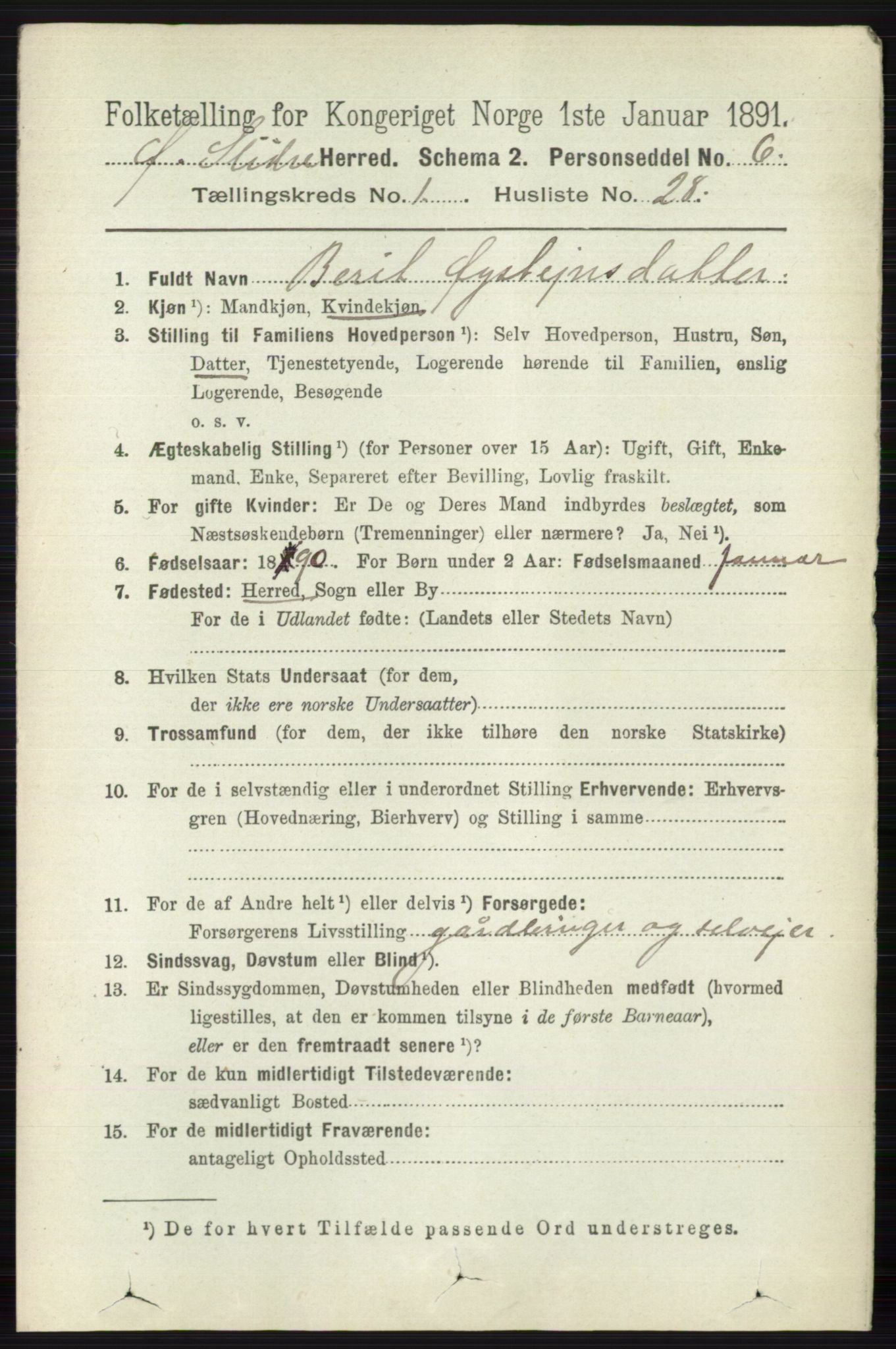 RA, 1891 census for 0544 Øystre Slidre, 1891, p. 208