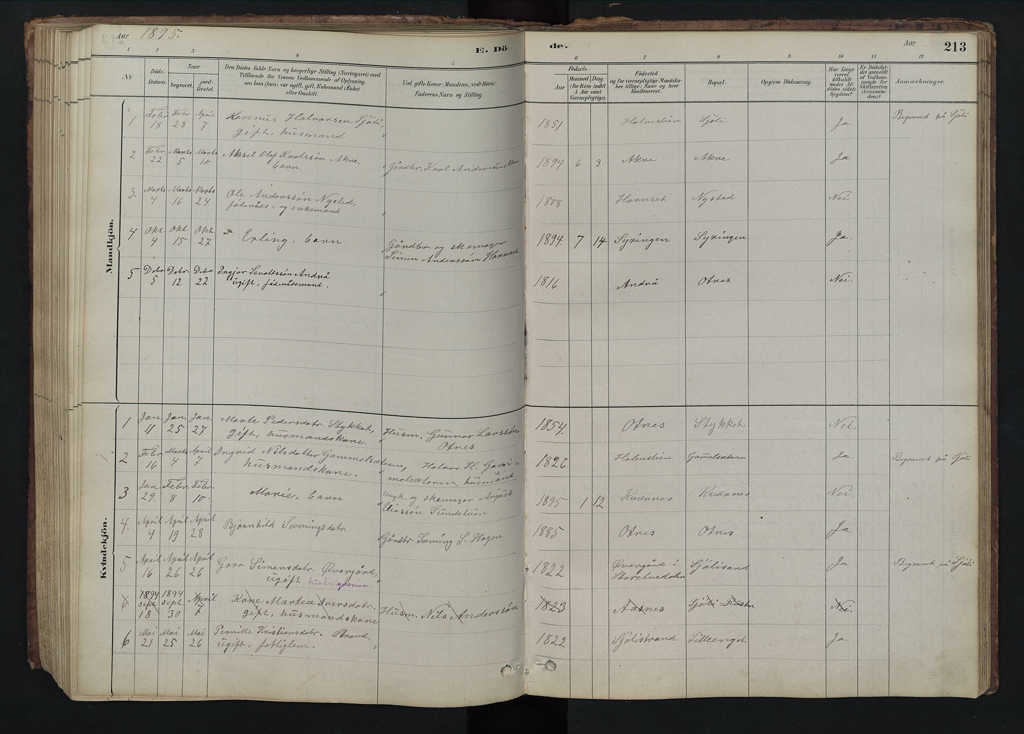 Rendalen prestekontor, SAH/PREST-054/H/Ha/Hab/L0009: Parish register (copy) no. 9, 1879-1902, p. 213