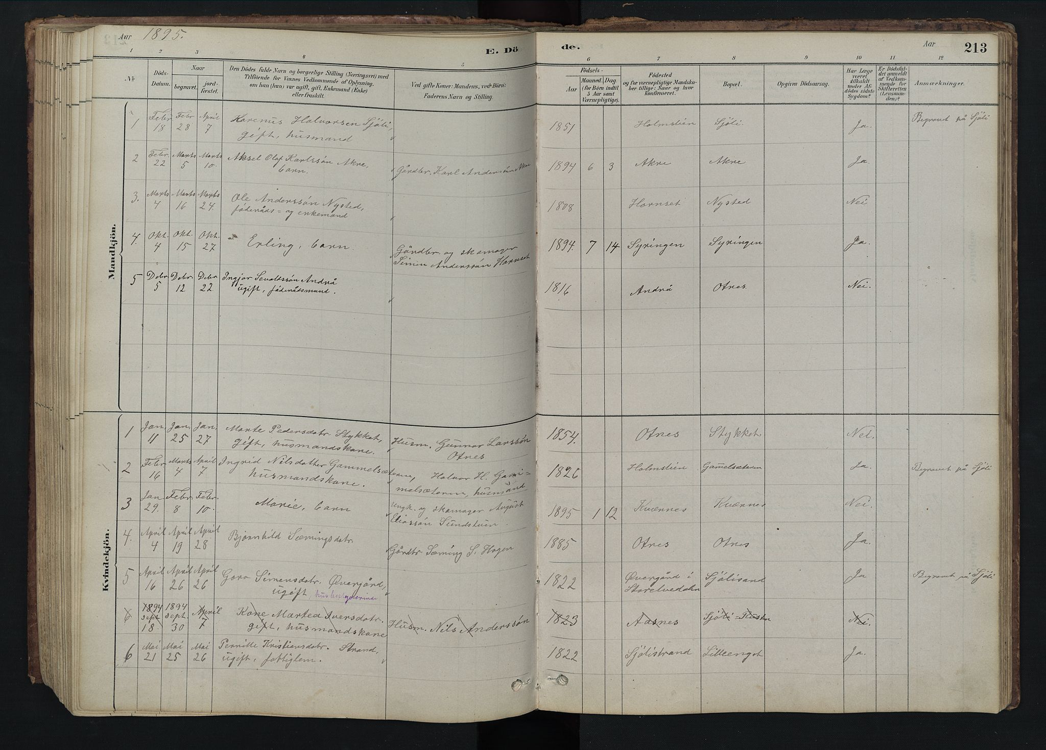 Rendalen prestekontor, AV/SAH-PREST-054/H/Ha/Hab/L0009: Parish register (copy) no. 9, 1879-1902, p. 213