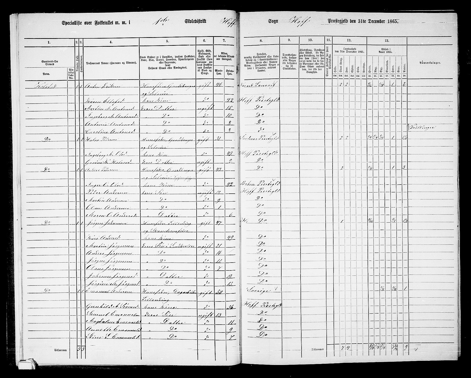 RA, 1865 census for Hof, 1865, p. 14