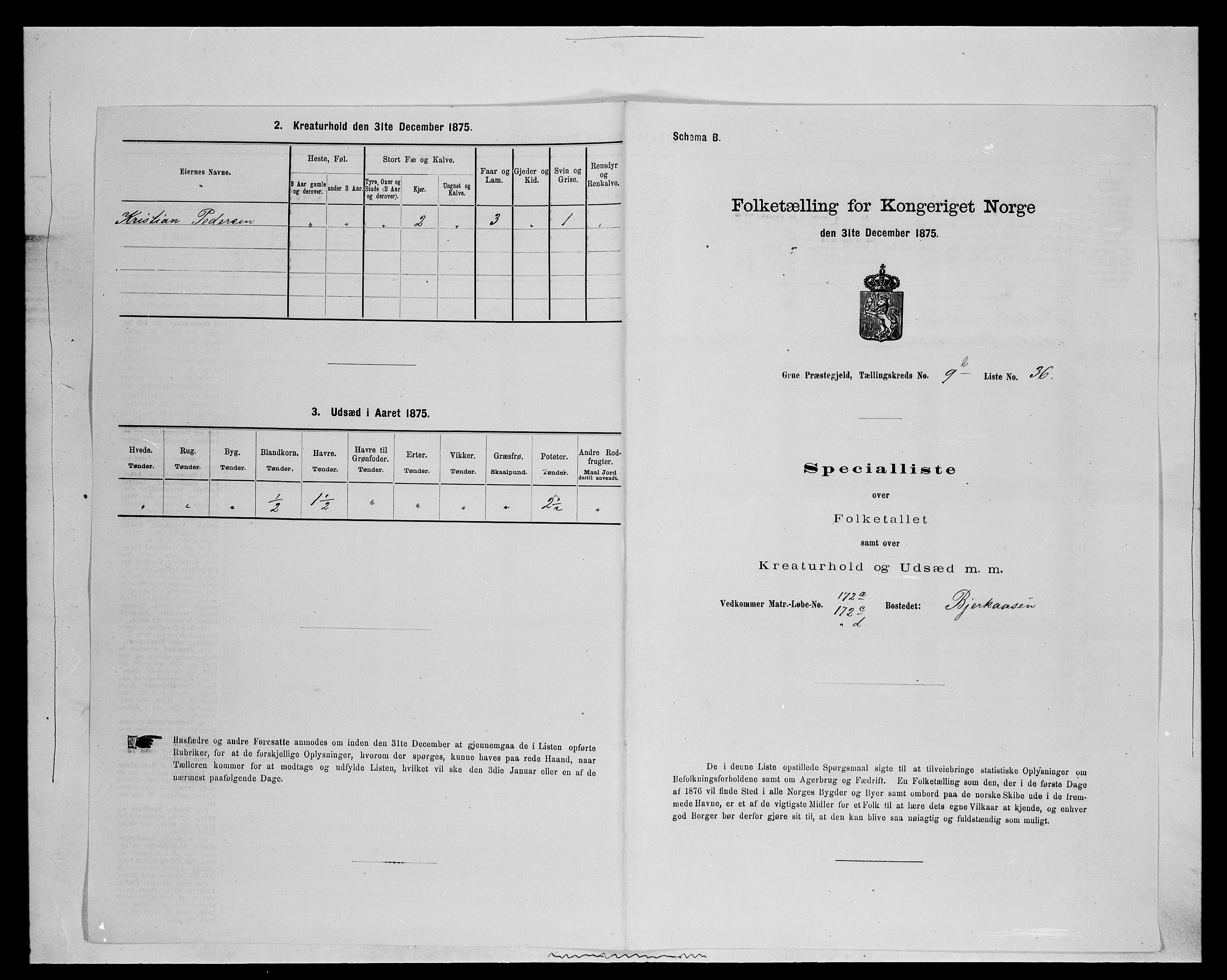 SAH, 1875 census for 0423P Grue, 1875, p. 1794