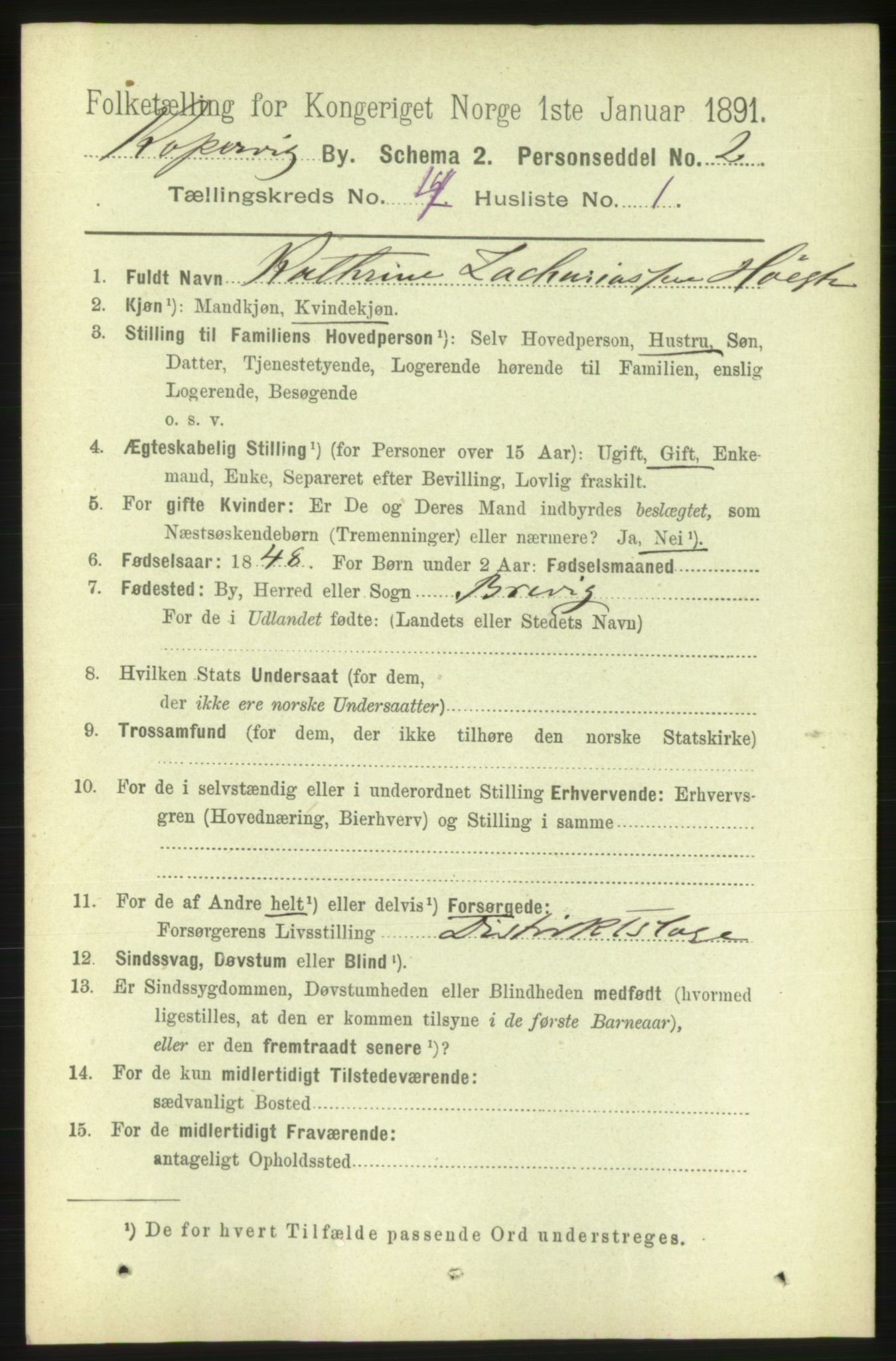 RA, 1891 census for 1105 Kopervik, 1891, p. 378