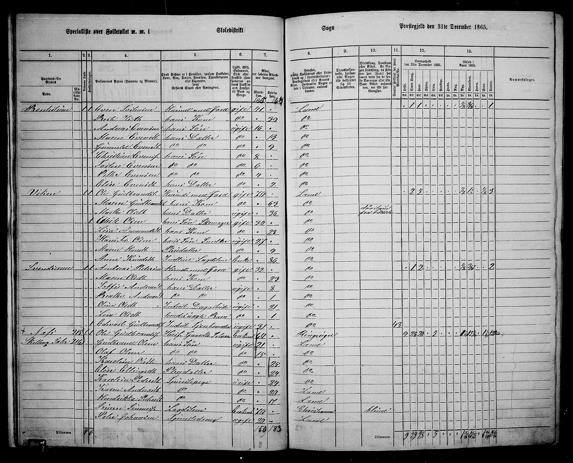 RA, 1865 census for Land, 1865, p. 227