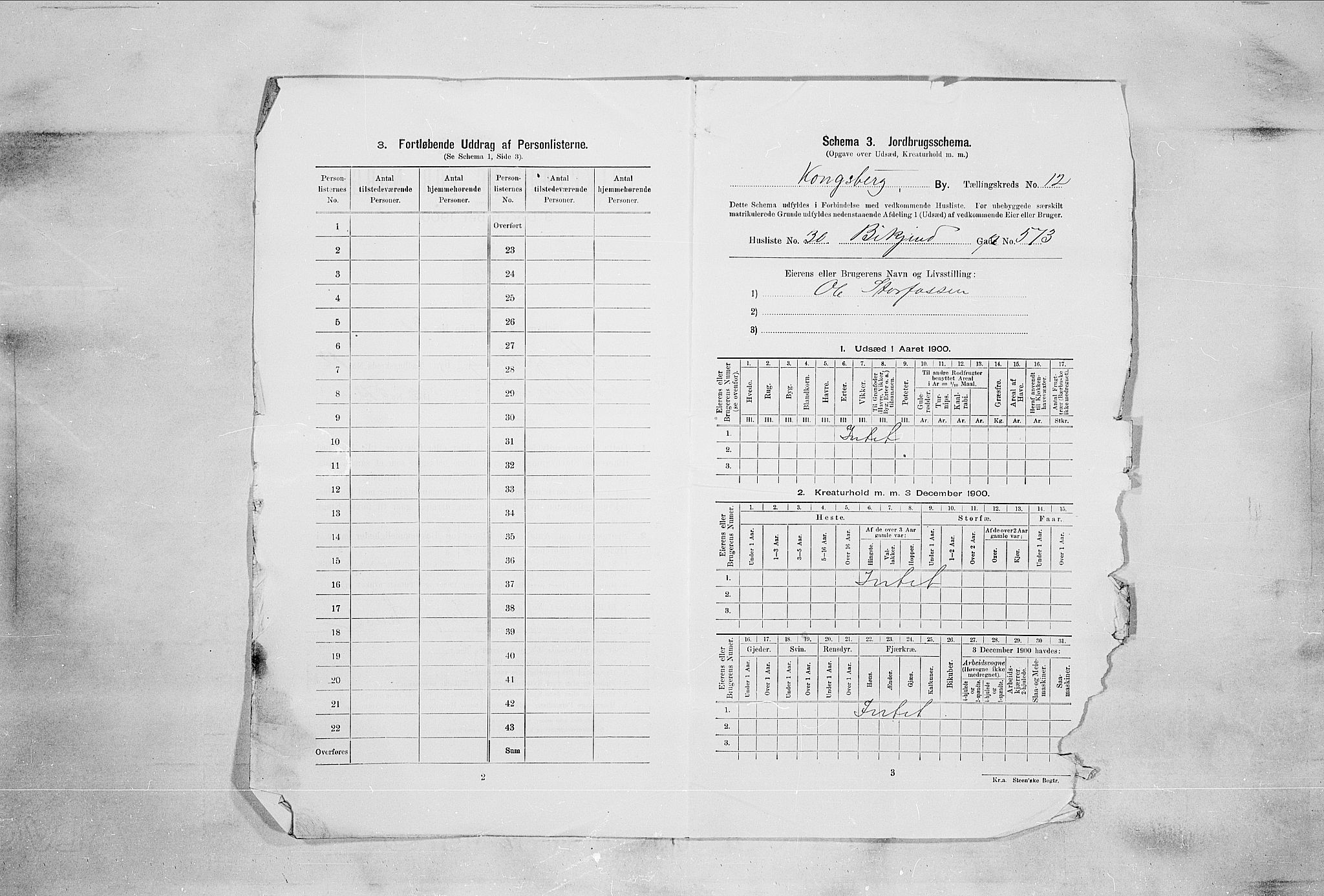 RA, 1900 census for Kongsberg, 1900, p. 2234