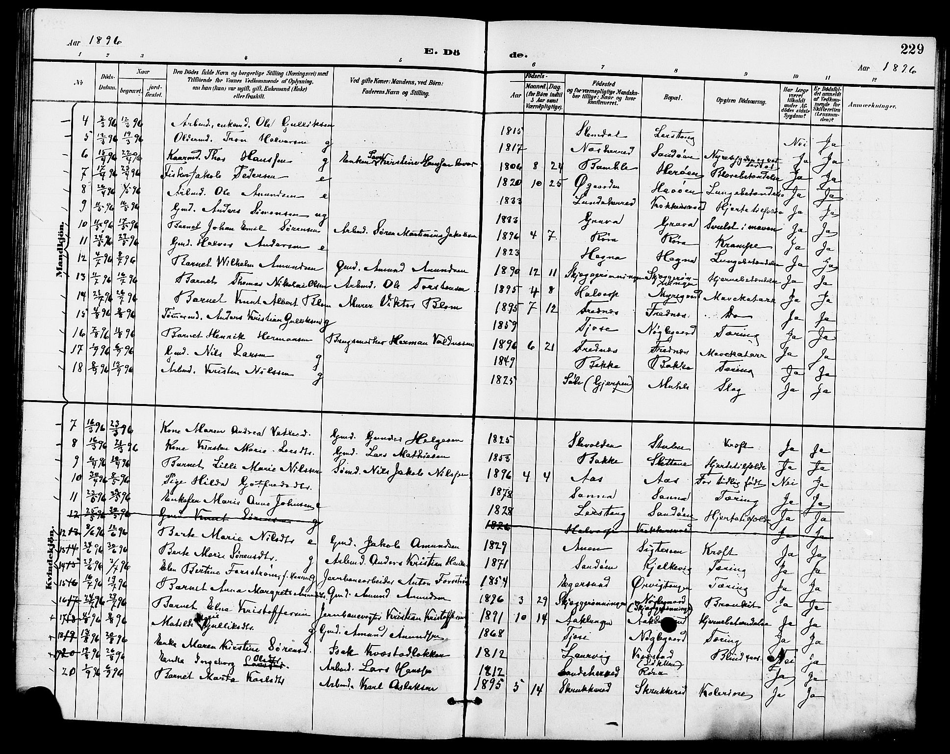Eidanger kirkebøker, AV/SAKO-A-261/G/Ga/L0003: Parish register (copy) no. 3, 1893-1911, p. 229