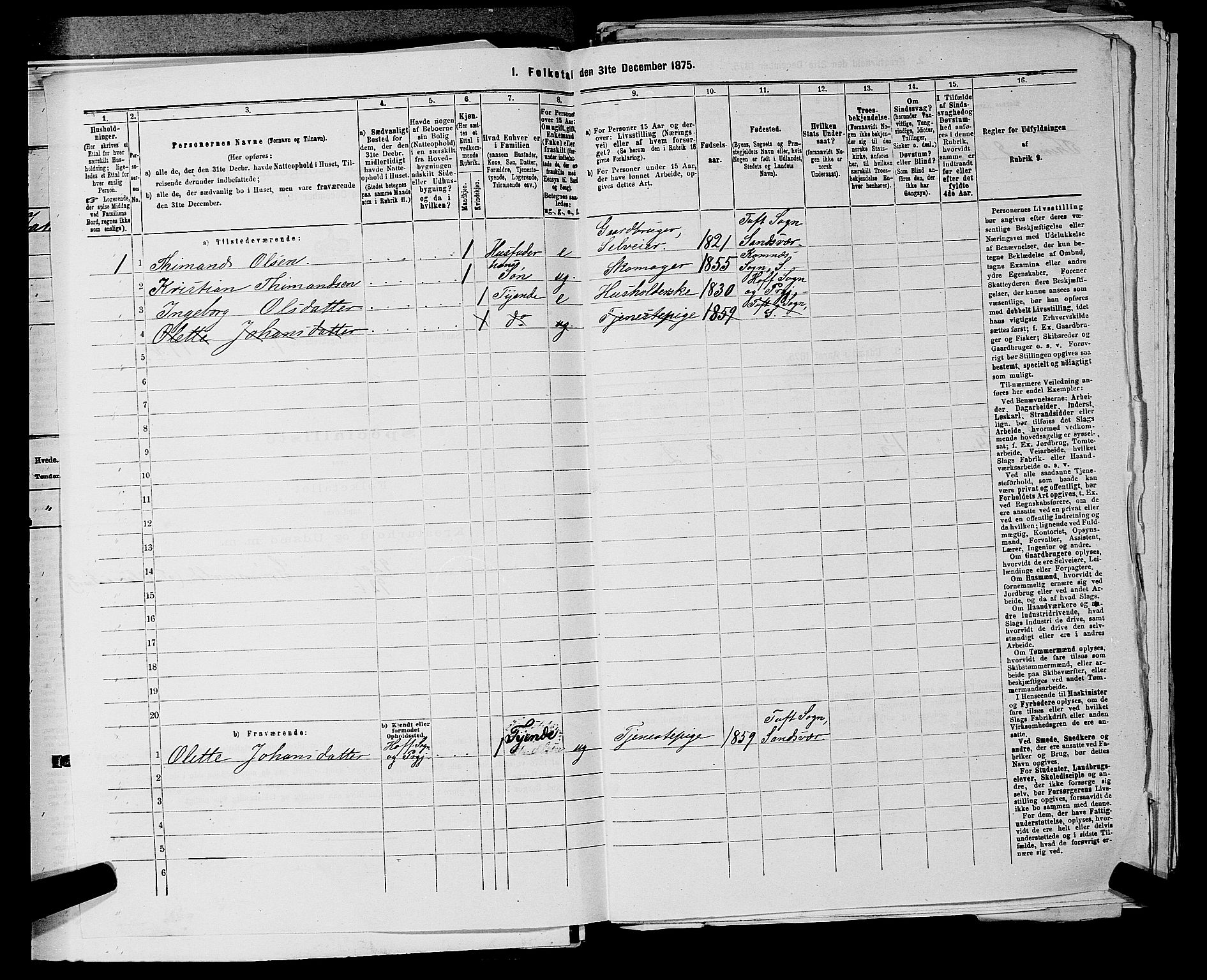 SAKO, 1875 census for 0629P Sandsvær, 1875, p. 339