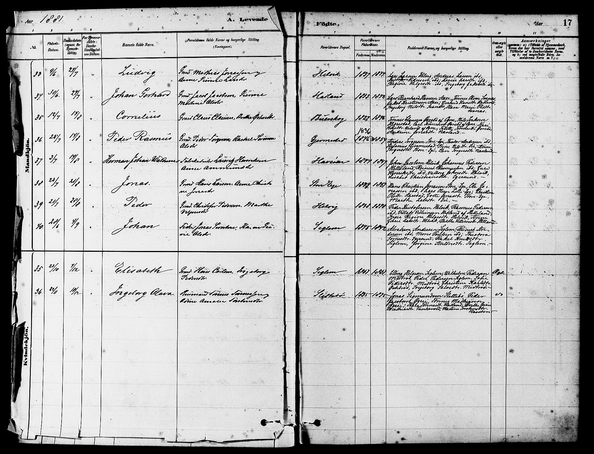 Eigersund sokneprestkontor, AV/SAST-A-101807/S08/L0017: Parish register (official) no. A 14, 1879-1892, p. 17