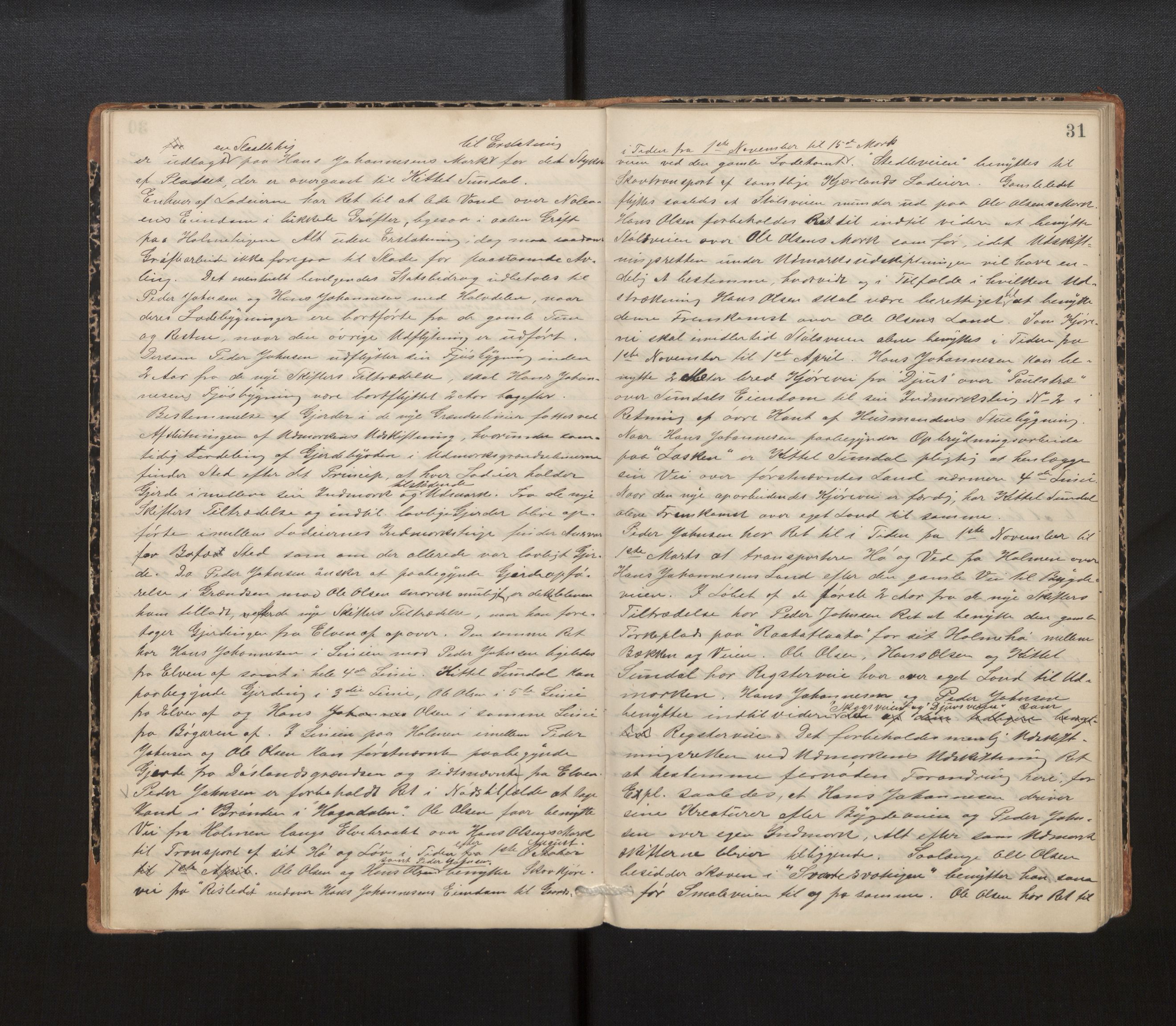 Hordaland jordskiftedøme - IV Hardanger jordskiftedistrikt, AV/SAB-A-7101/A/Aa/L0013: Forhandlingsprotokoll, 1890-1894, p. 30b-31a