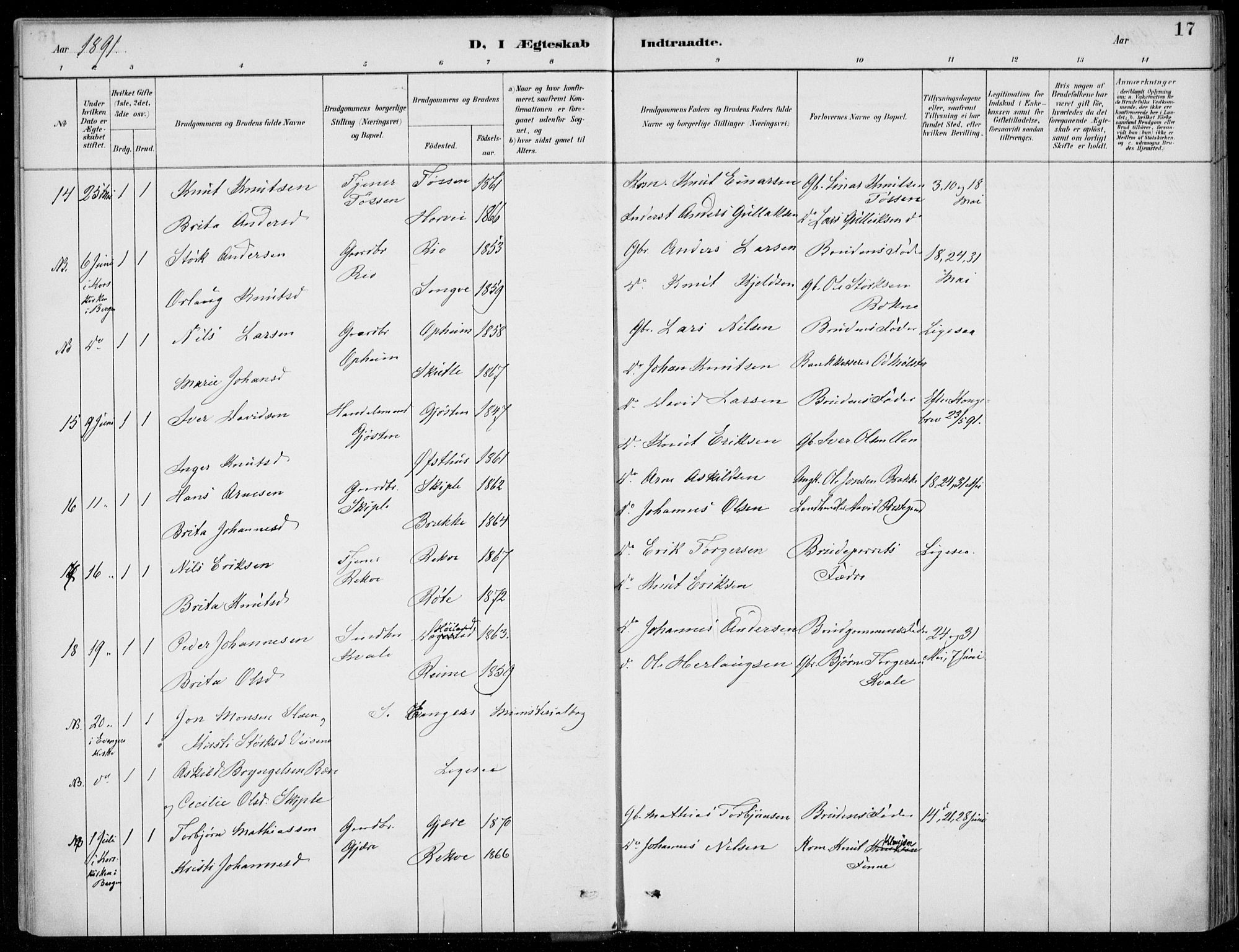 Voss sokneprestembete, SAB/A-79001/H/Haa: Parish register (official) no. C  1, 1887-1915, p. 17