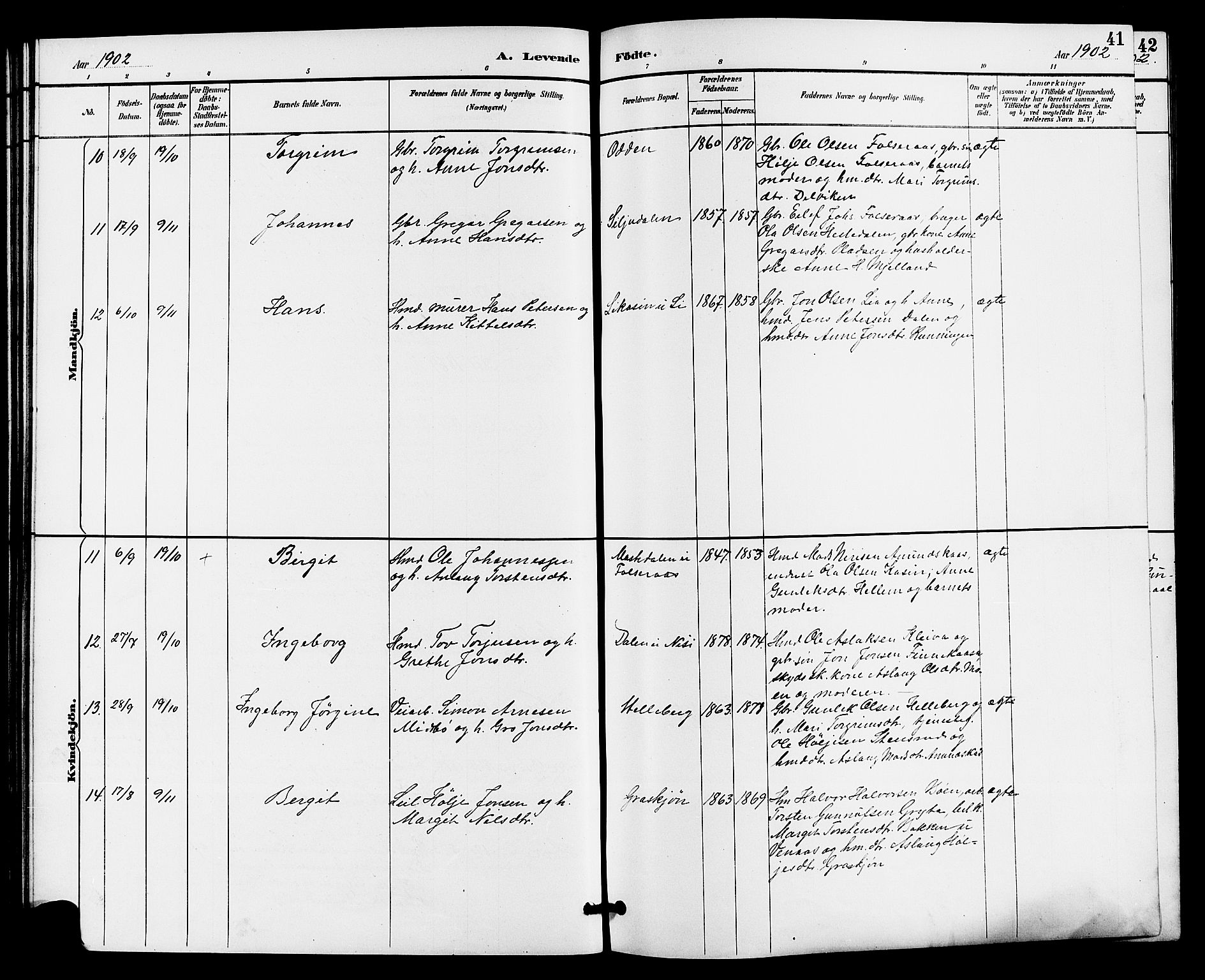 Gransherad kirkebøker, SAKO/A-267/G/Ga/L0003: Parish register (copy) no. I 3, 1887-1915, p. 41