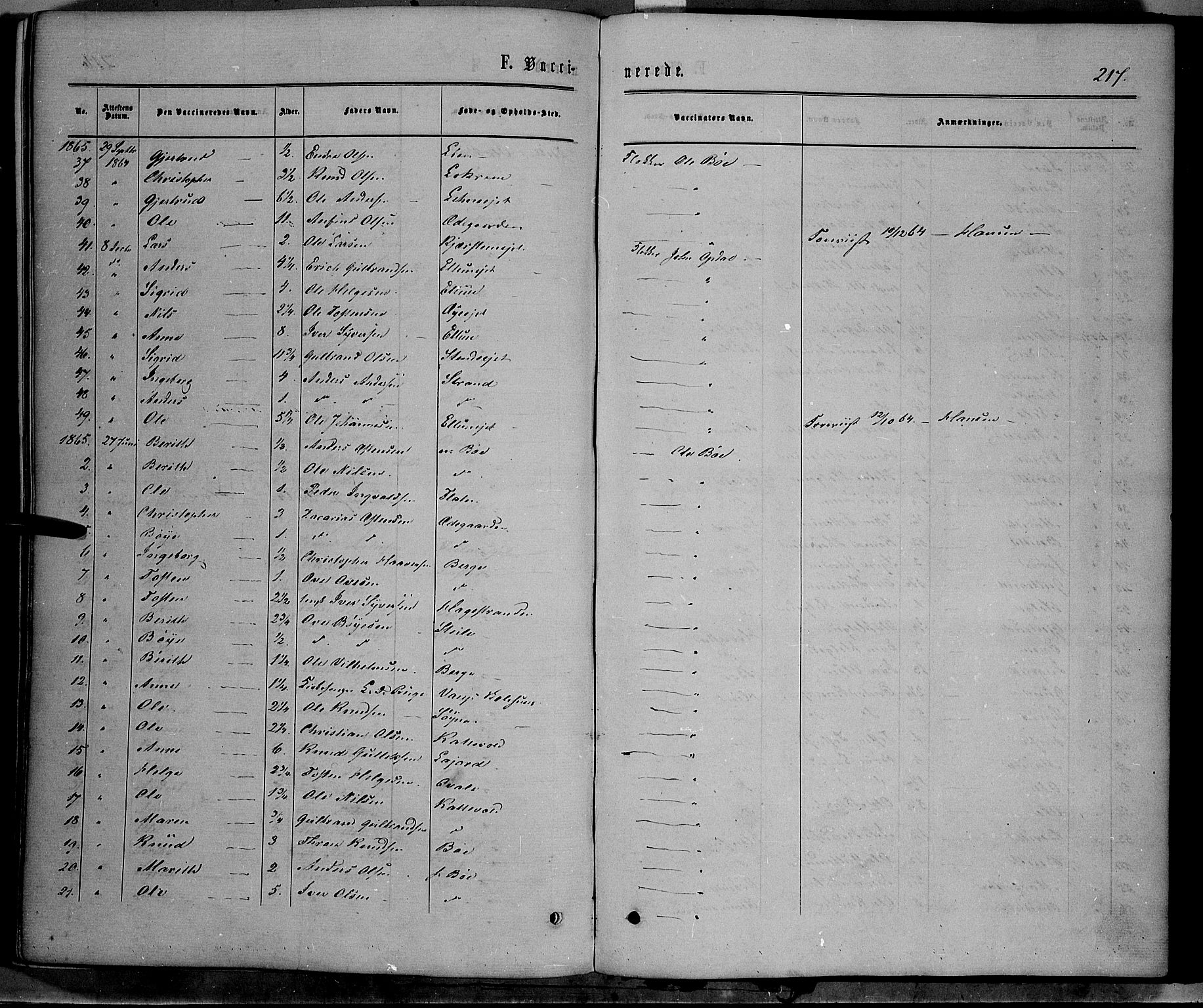 Vang prestekontor, Valdres, SAH/PREST-140/H/Ha/L0007: Parish register (official) no. 7, 1865-1881, p. 217