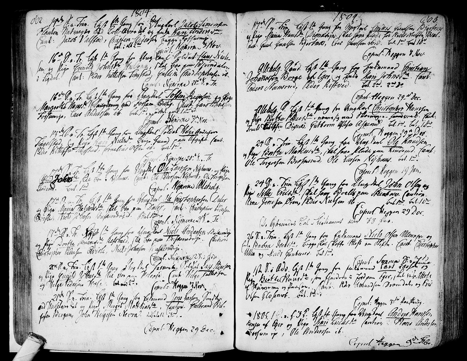 Modum kirkebøker, AV/SAKO-A-234/F/Fa/L0003: Parish register (official) no. 3, 1783-1819, p. 802-803