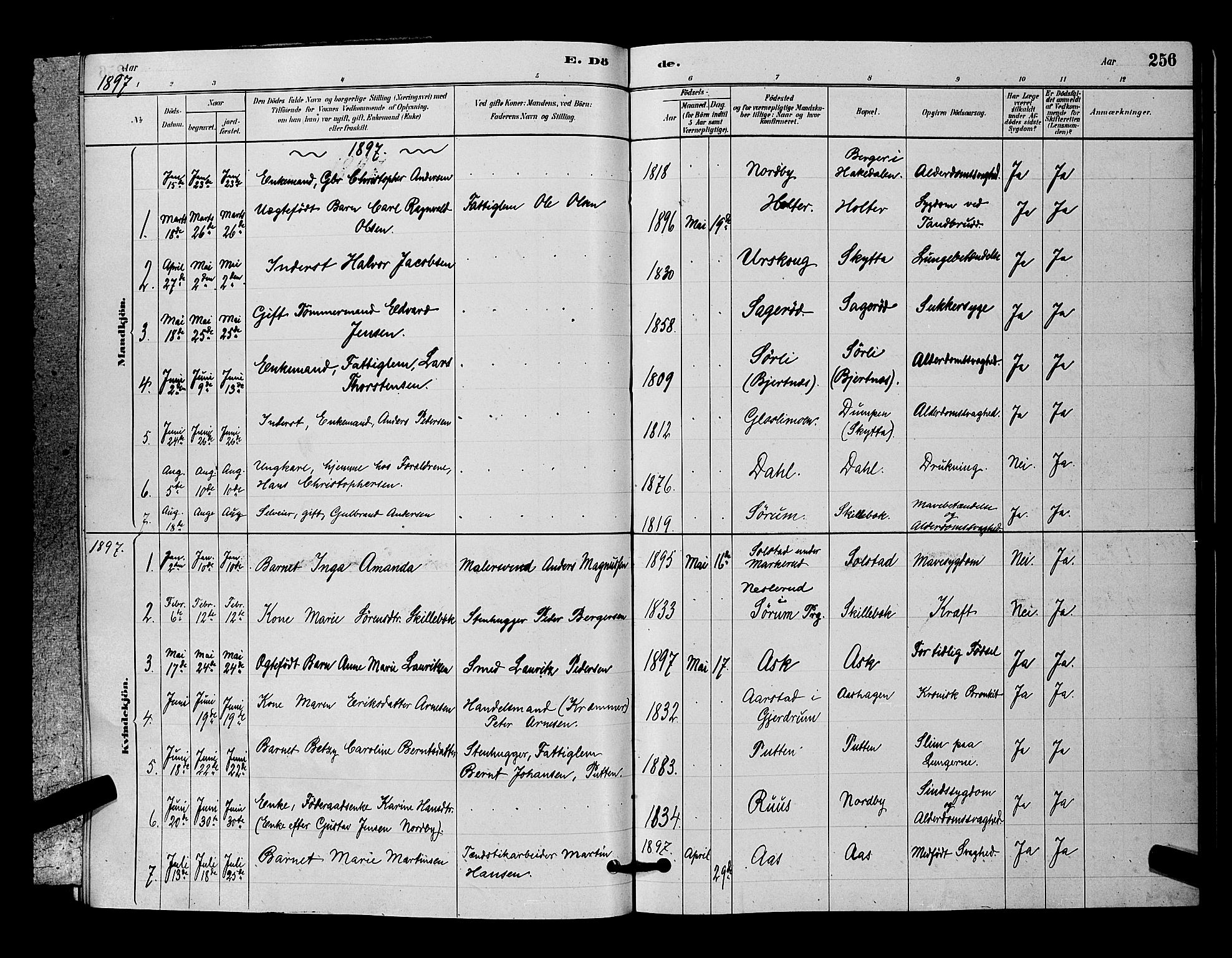 Nittedal prestekontor Kirkebøker, SAO/A-10365a/G/Ga/L0002: Parish register (copy) no. I 2, 1879-1901, p. 256