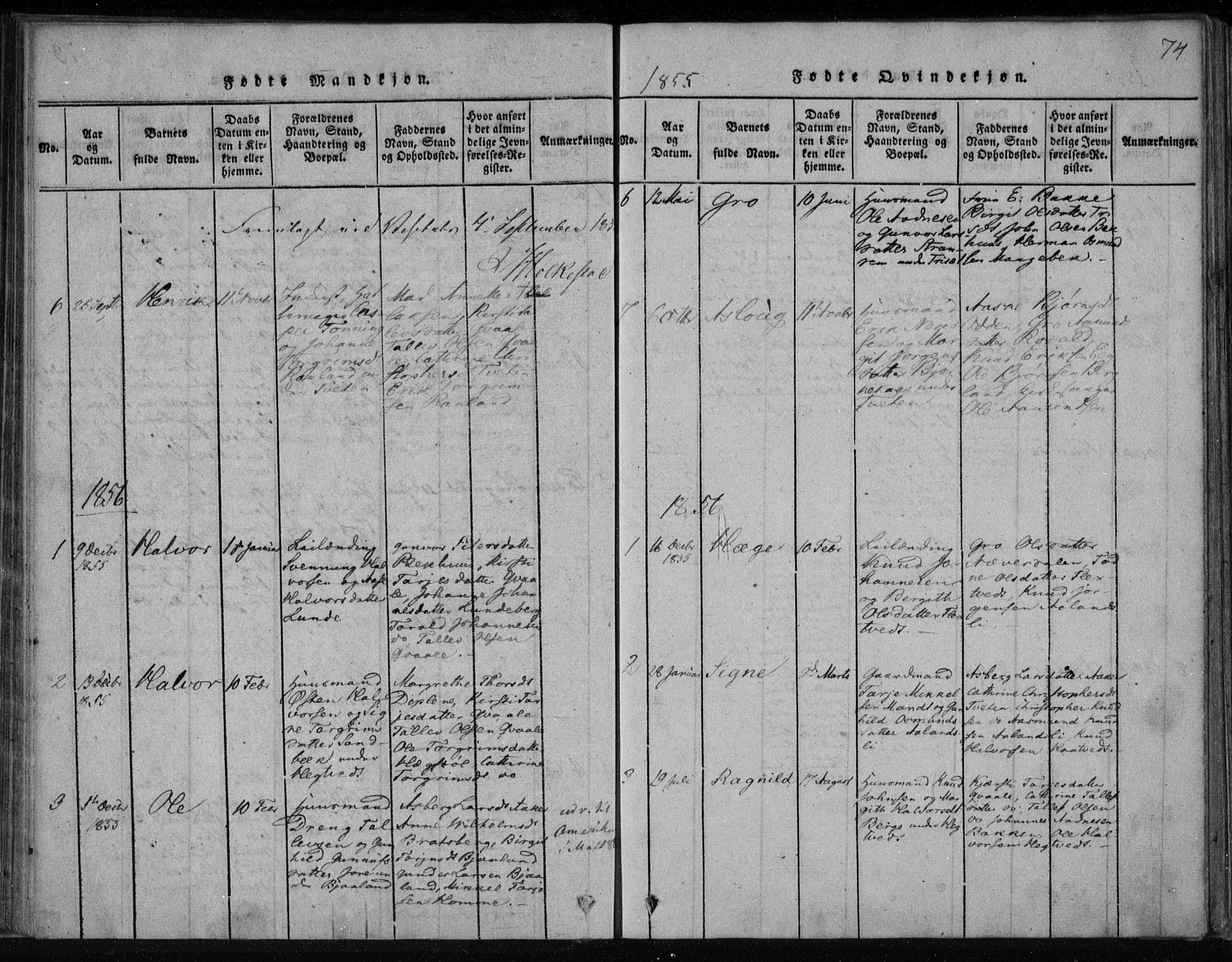 Lårdal kirkebøker, AV/SAKO-A-284/F/Fa/L0005: Parish register (official) no. I 5, 1815-1860, p. 74