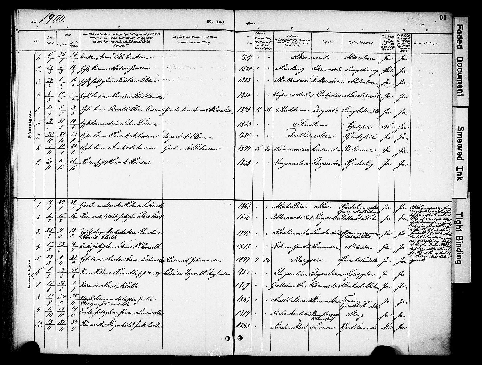 Biri prestekontor, SAH/PREST-096/H/Ha/Haa/L0008: Parish register (official) no. 8, 1894-1901, p. 91