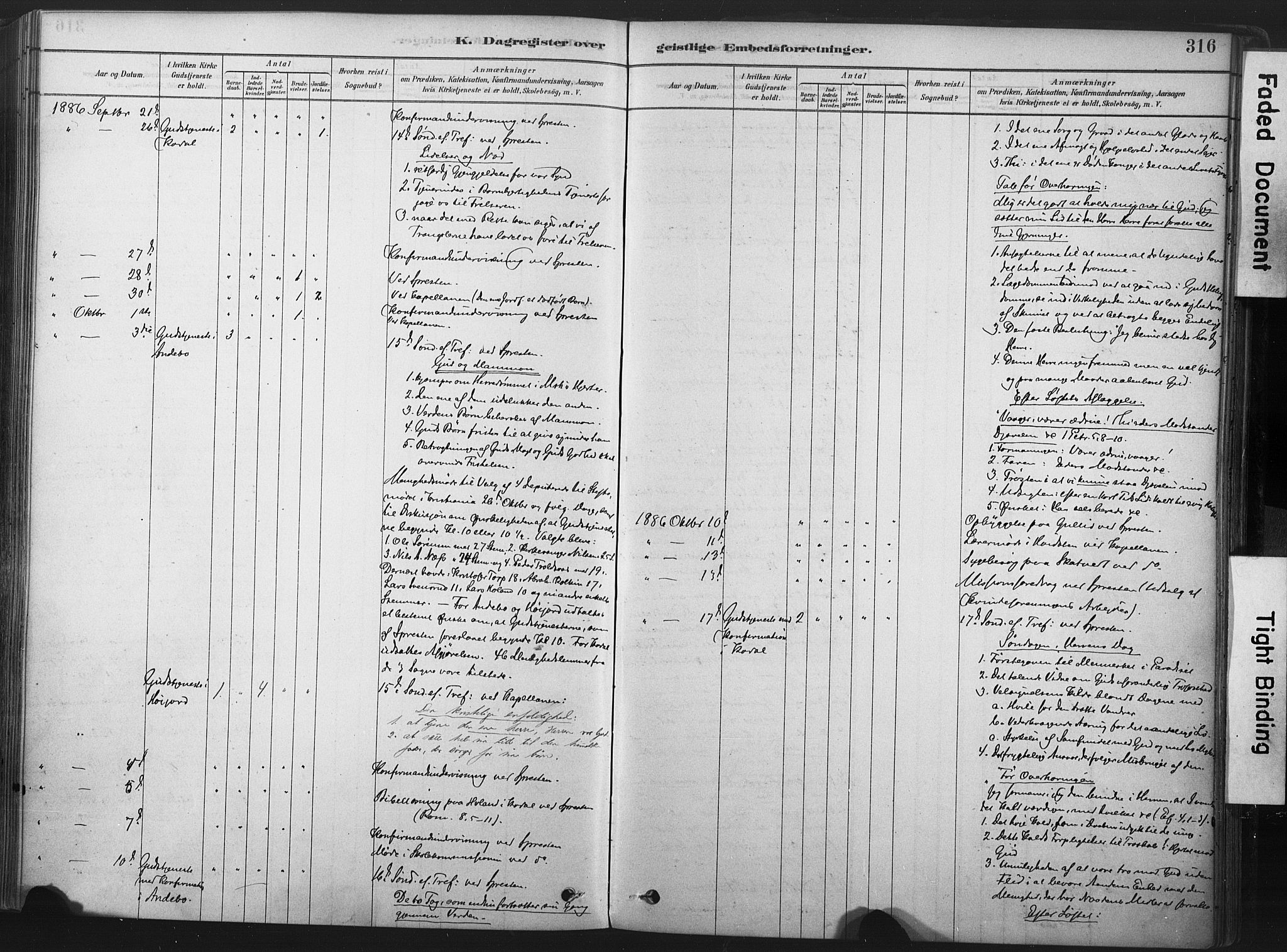 Andebu kirkebøker, AV/SAKO-A-336/F/Fa/L0007: Parish register (official) no. 7, 1878-1899, p. 316