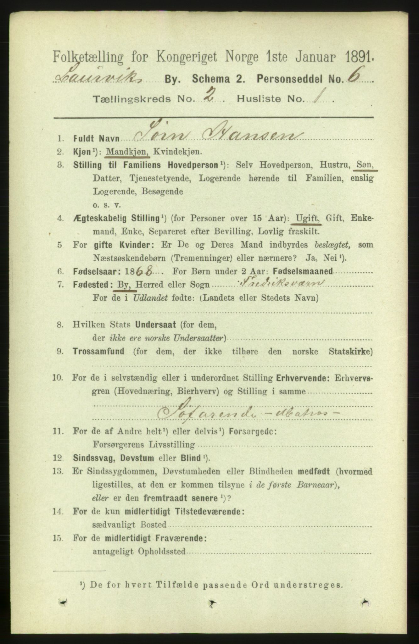 RA, 1891 census for 0707 Larvik, 1891, p. 3336