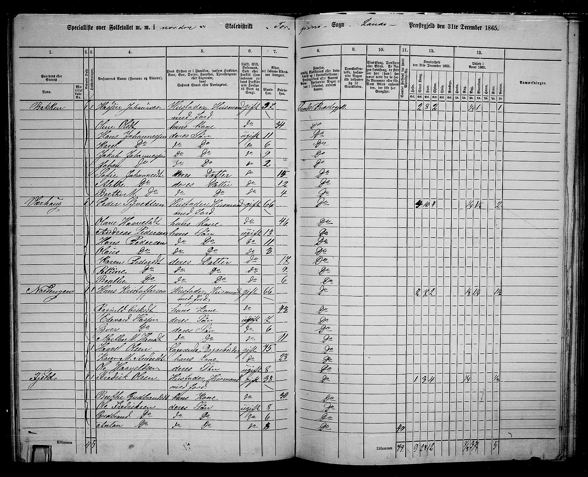 RA, 1865 census for Land, 1865, p. 133