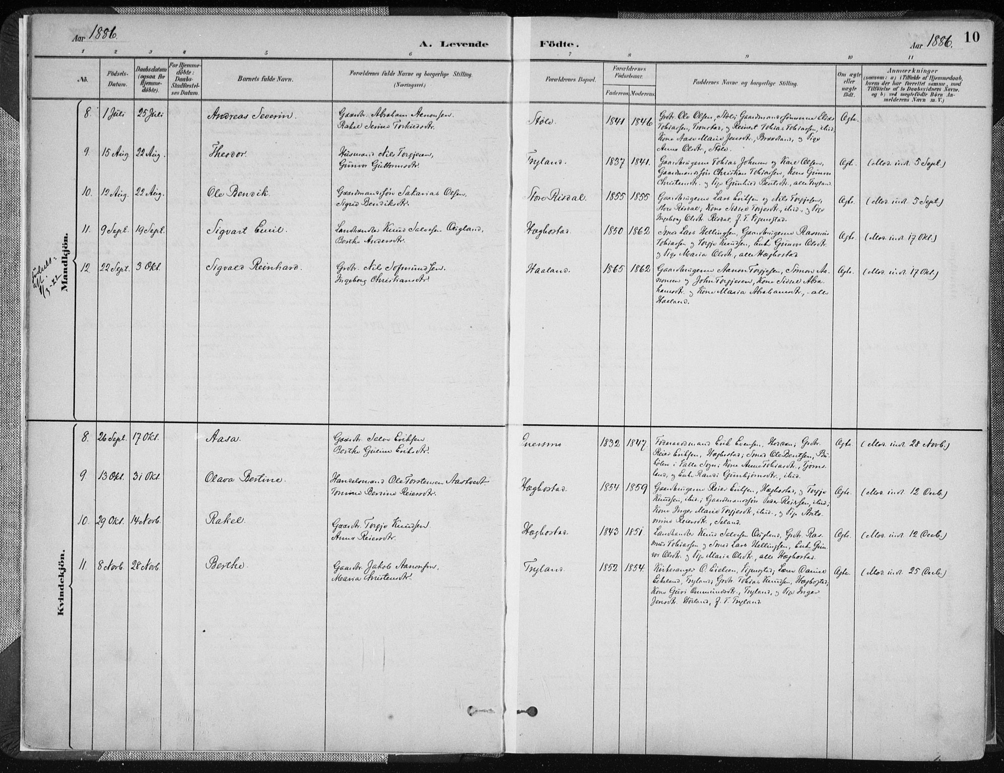 Nord-Audnedal sokneprestkontor, SAK/1111-0032/F/Fa/Fab/L0003: Parish register (official) no. A 3, 1882-1900, p. 10