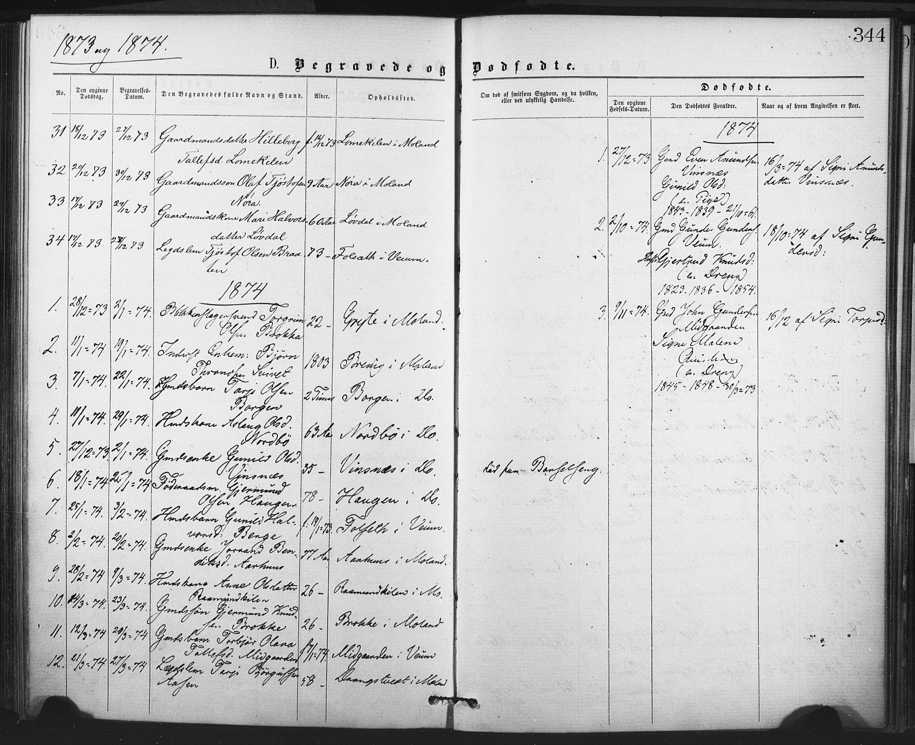 Fyresdal kirkebøker, SAKO/A-263/F/Fa/L0006: Parish register (official) no. I 6, 1872-1886, p. 344