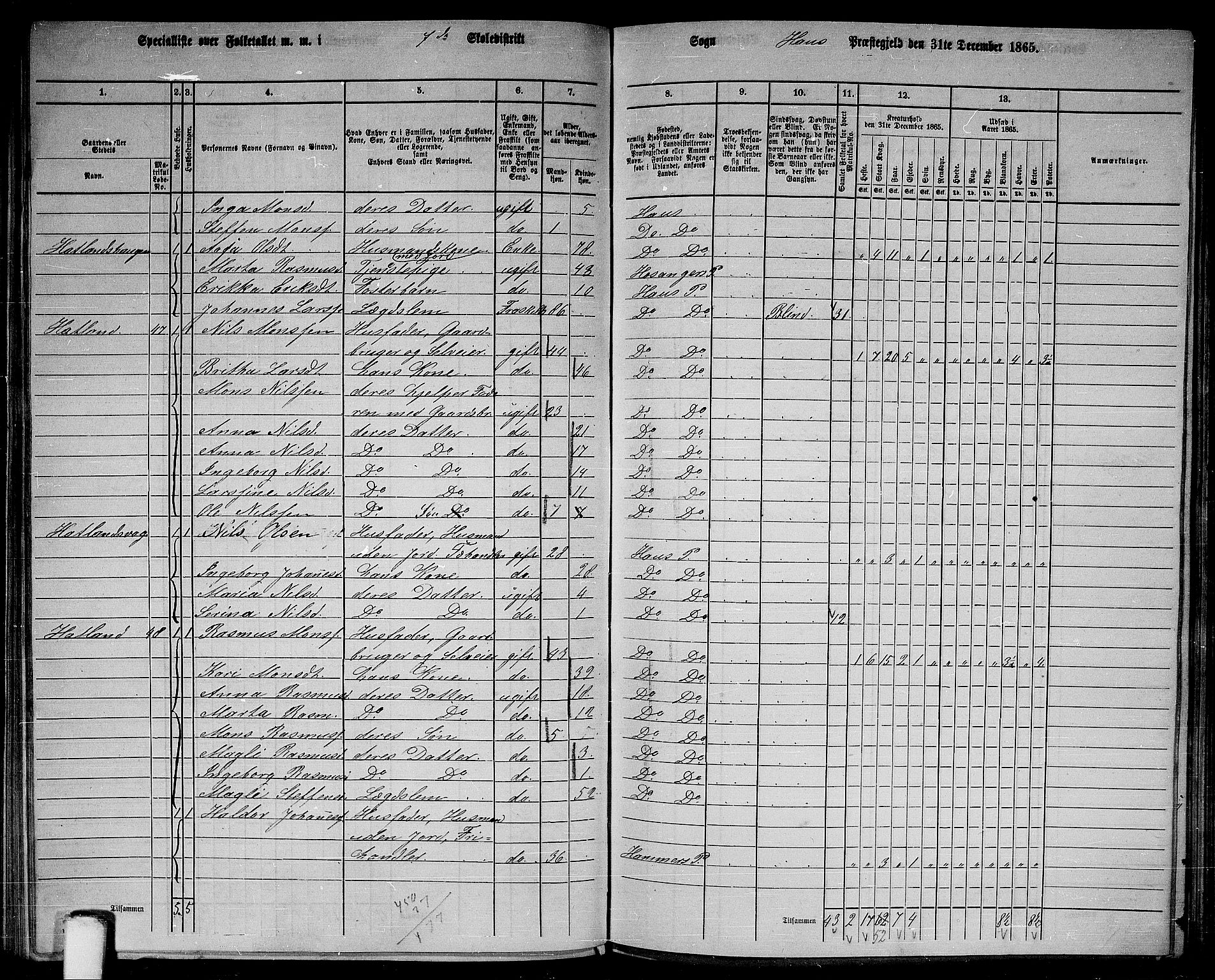 RA, 1865 census for Haus, 1865, p. 146