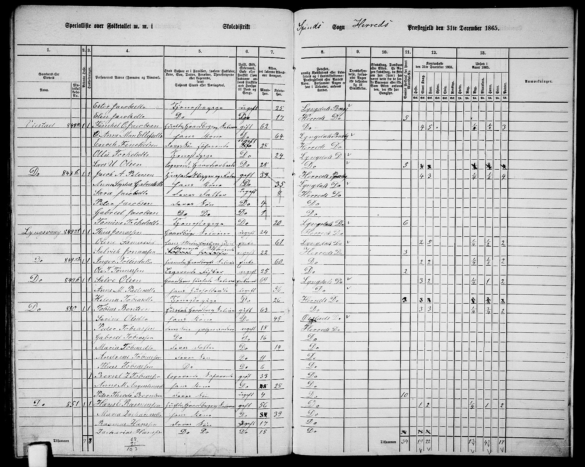 RA, 1865 census for Herad, 1865, p. 94