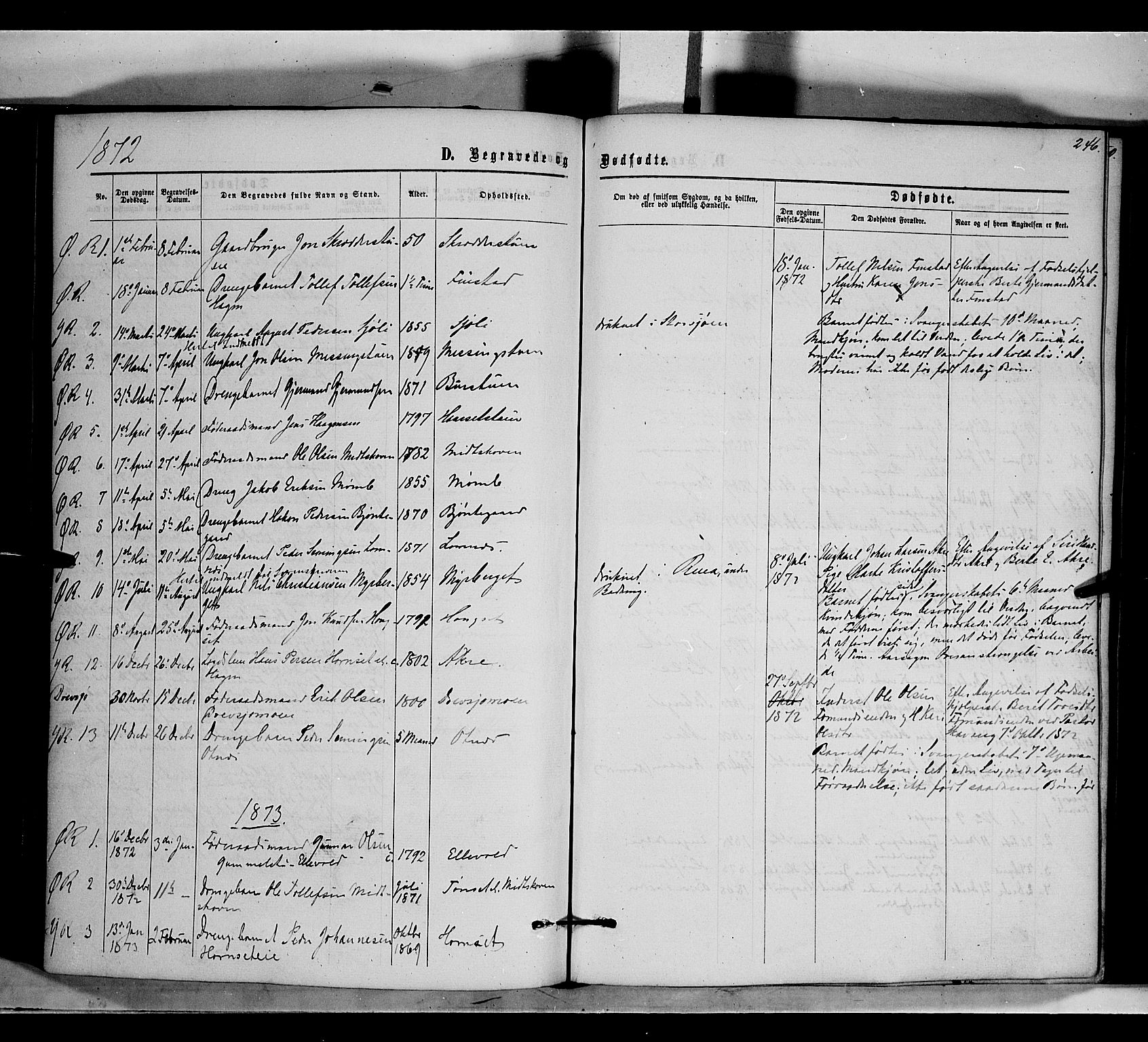 Rendalen prestekontor, SAH/PREST-054/H/Ha/Haa/L0006: Parish register (official) no. 6, 1867-1877, p. 246