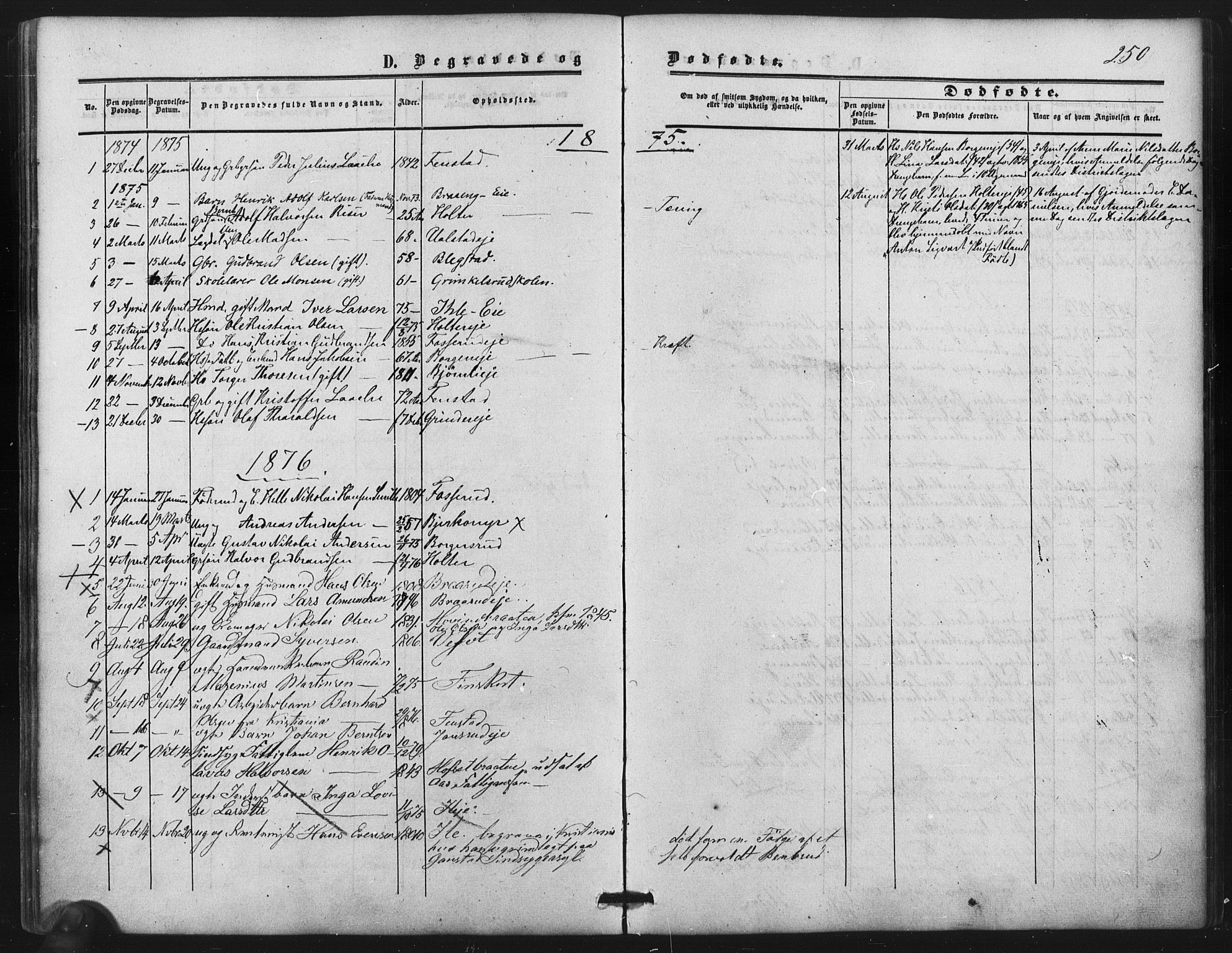 Nes prestekontor Kirkebøker, SAO/A-10410/F/Fb/L0001: Parish register (official) no. II 1, 1859-1882, p. 250