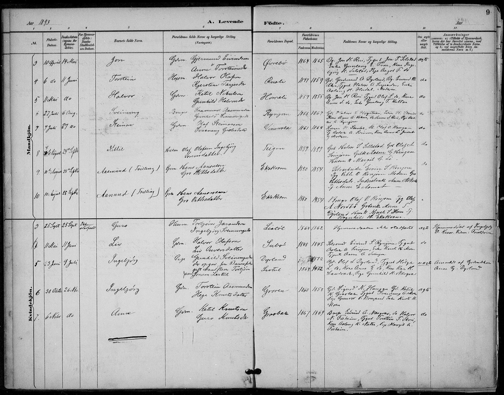Seljord kirkebøker, SAKO/A-20/F/Fc/L0002: Parish register (official) no. III 2, 1887-1920, p. 9