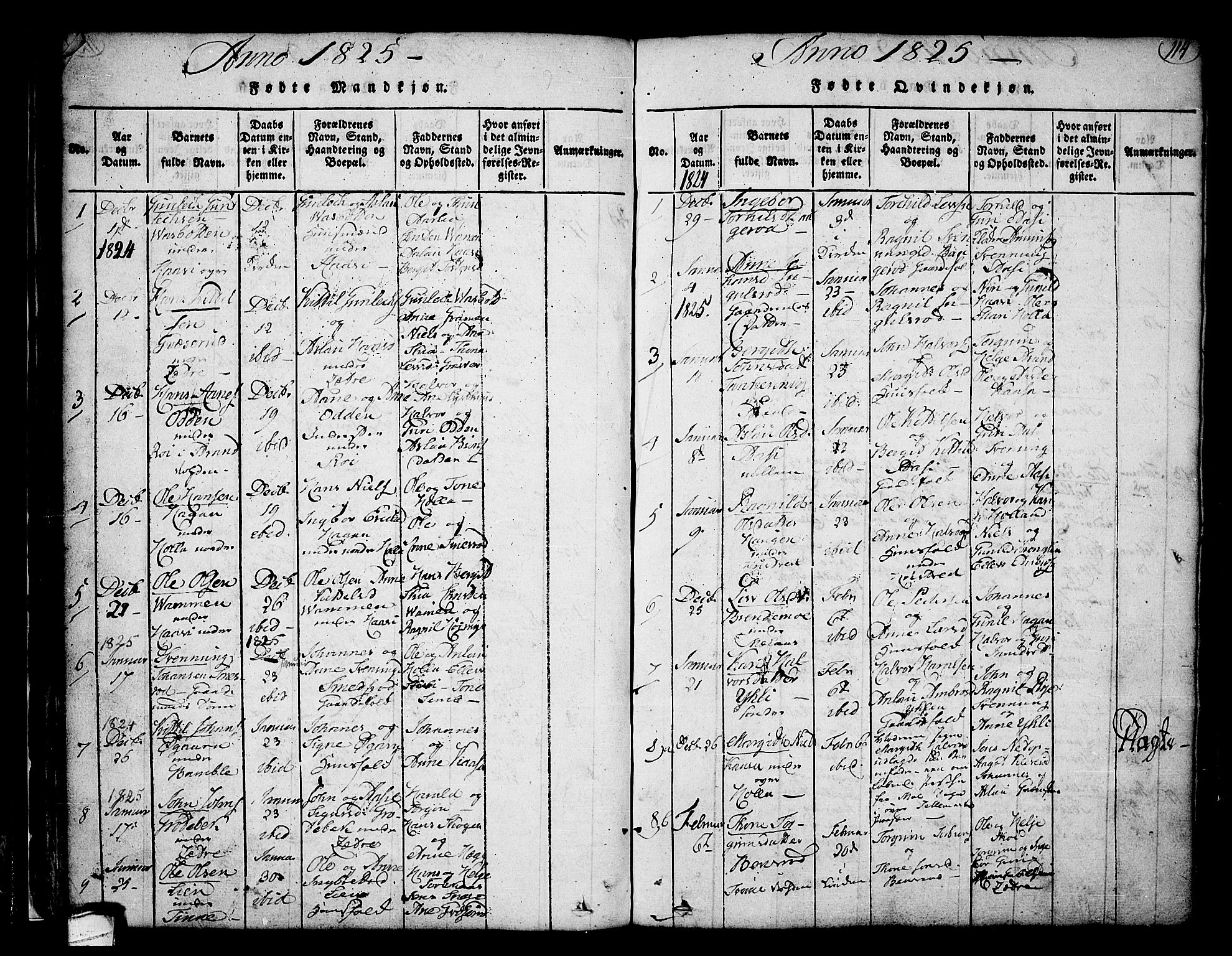 Heddal kirkebøker, AV/SAKO-A-268/F/Fa/L0005: Parish register (official) no. I 5, 1814-1837, p. 113-114