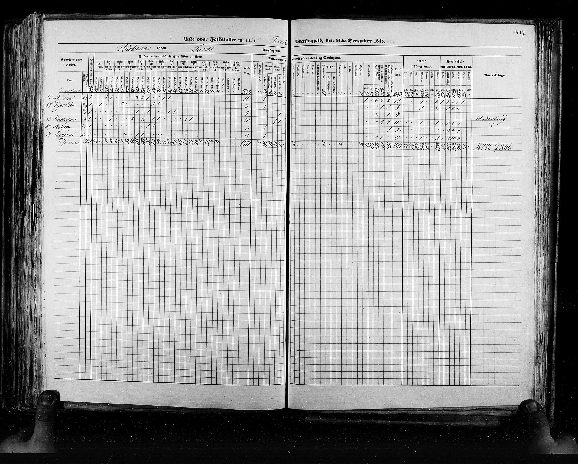 RA, Census 1845, vol. 5: Bratsberg amt og Nedenes og Råbyggelaget amt, 1845, p. 337