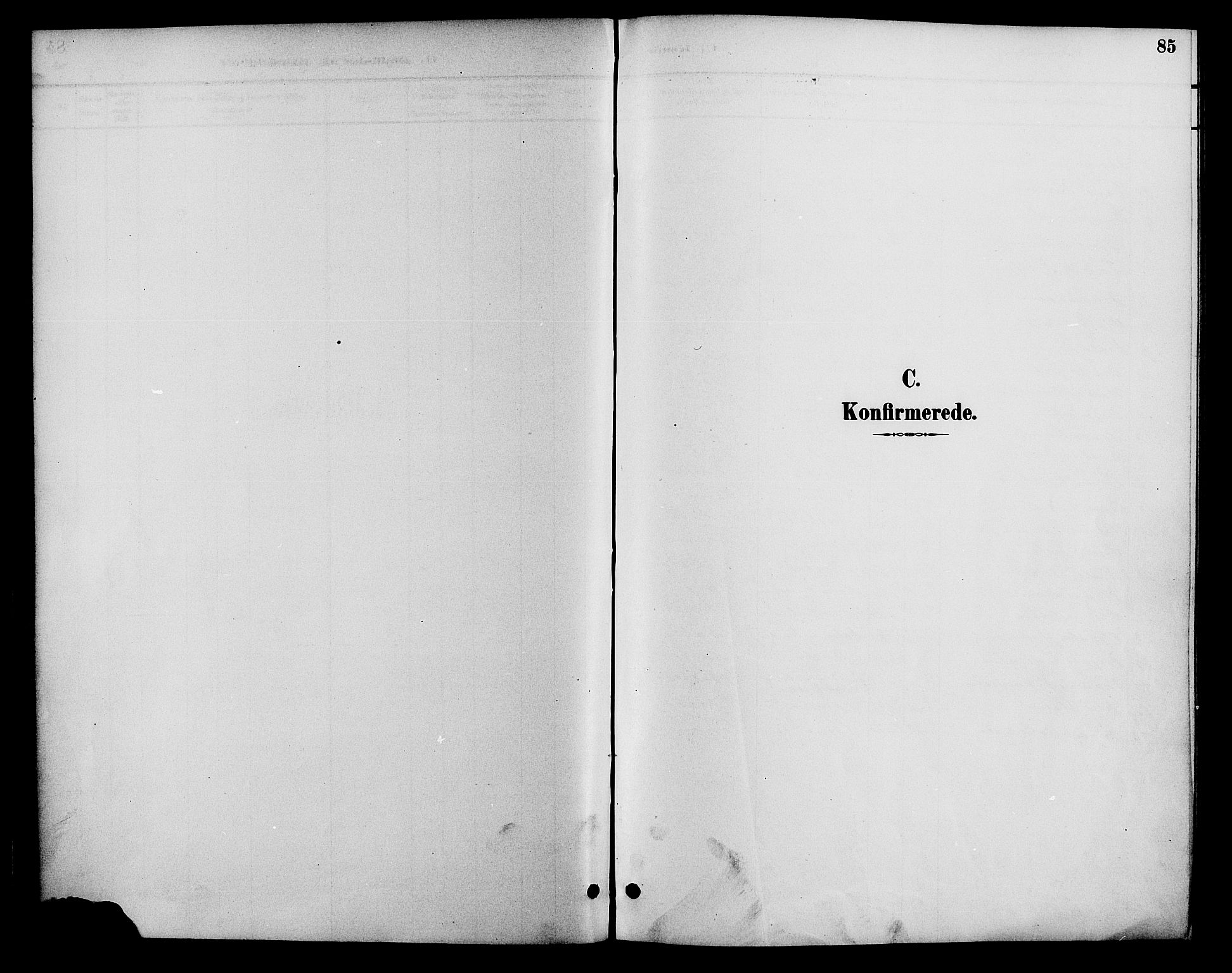 Gjerstad sokneprestkontor, SAK/1111-0014/F/Fa/Faa/L0009: Parish register (official) no. A 9, 1885-1890, p. 85