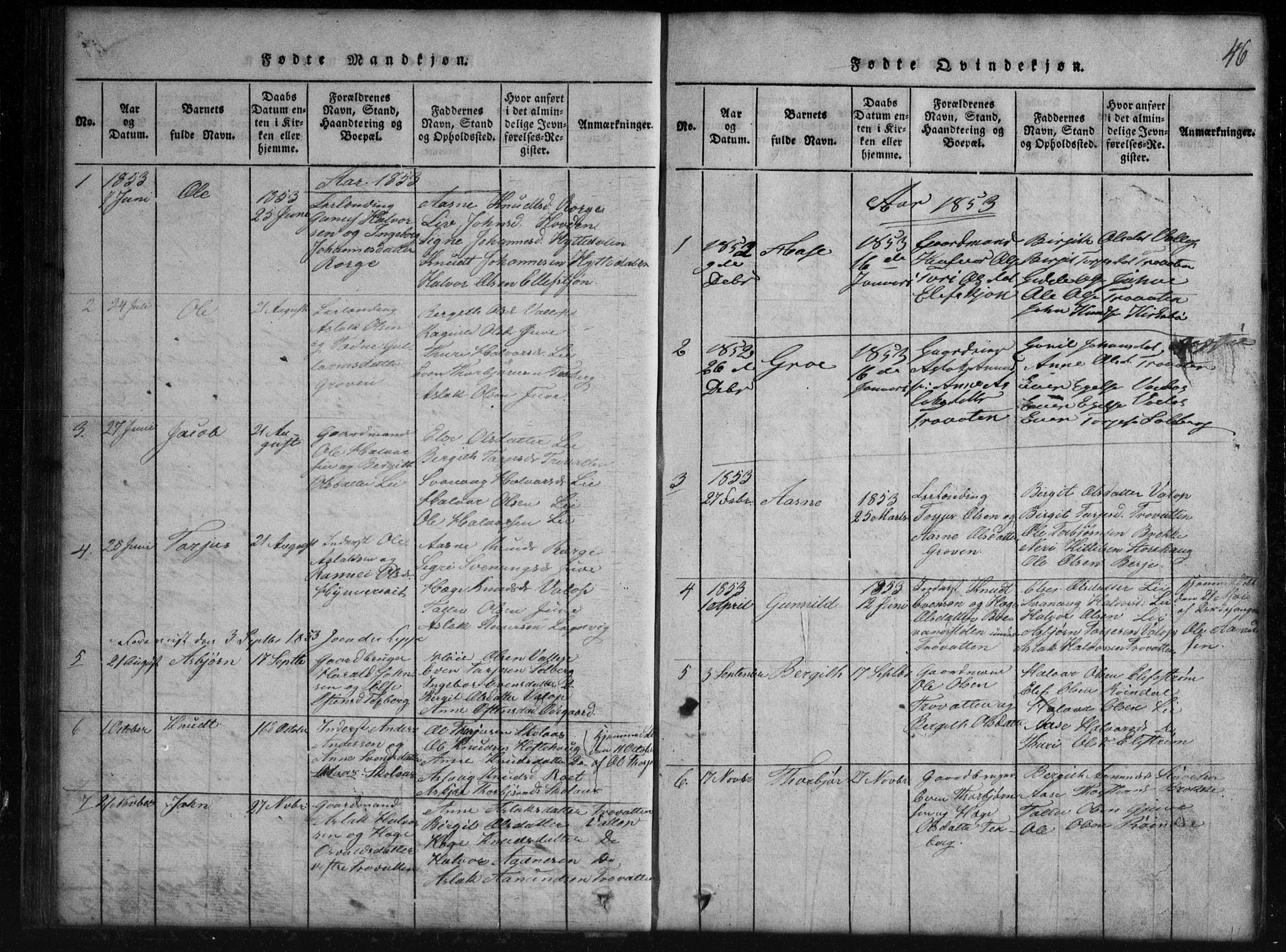 Rauland kirkebøker, SAKO/A-292/G/Gb/L0001: Parish register (copy) no. II 1, 1815-1886, p. 46