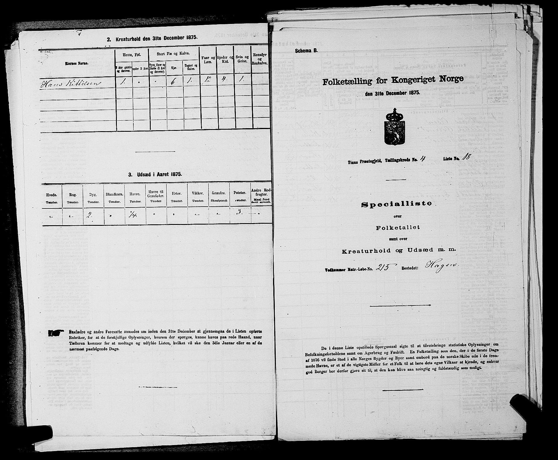 SAKO, 1875 census for 0826P Tinn, 1875, p. 494