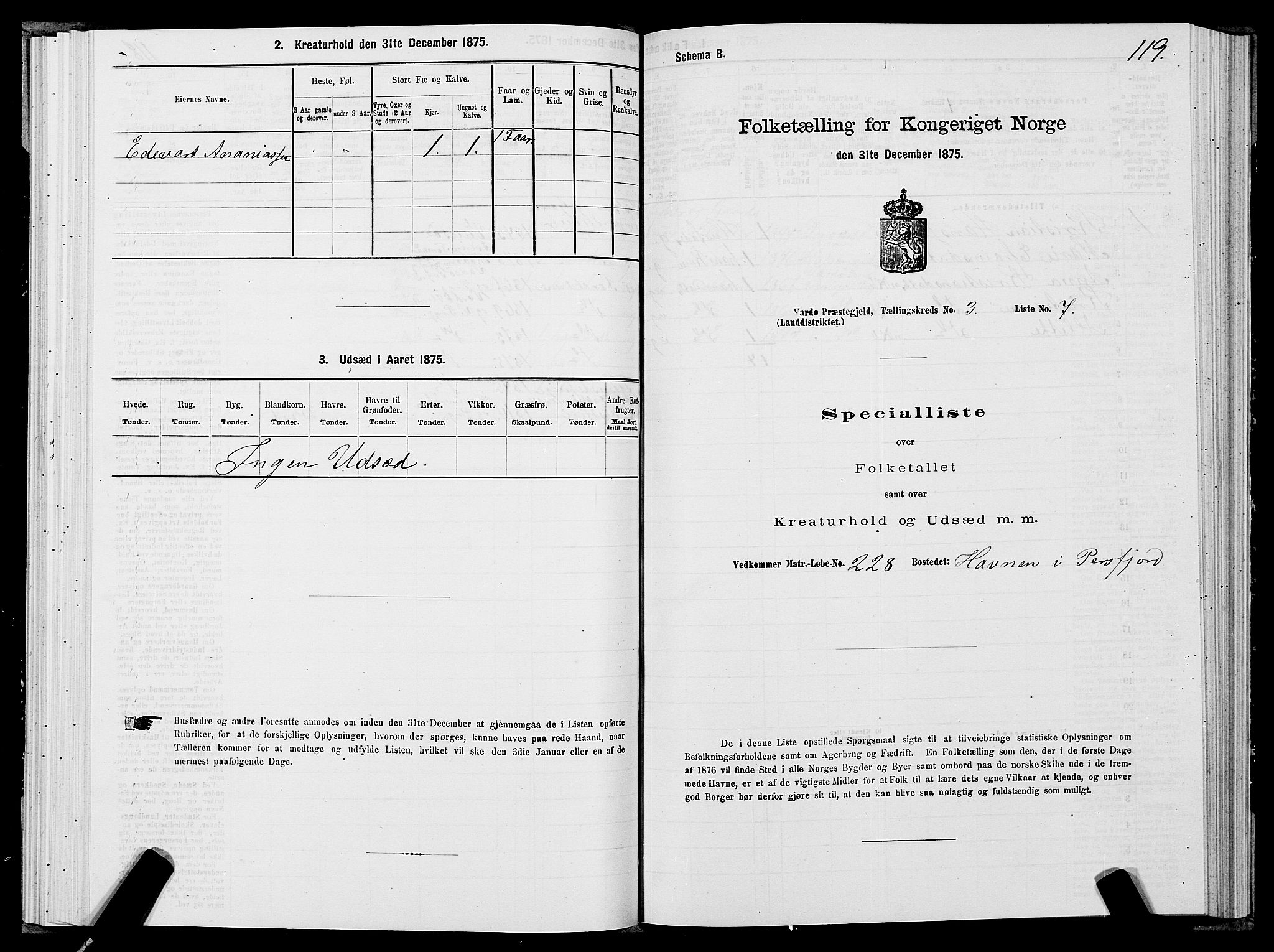 SATØ, 1875 census for 2028L Vardø/Vardø, 1875, p. 1119