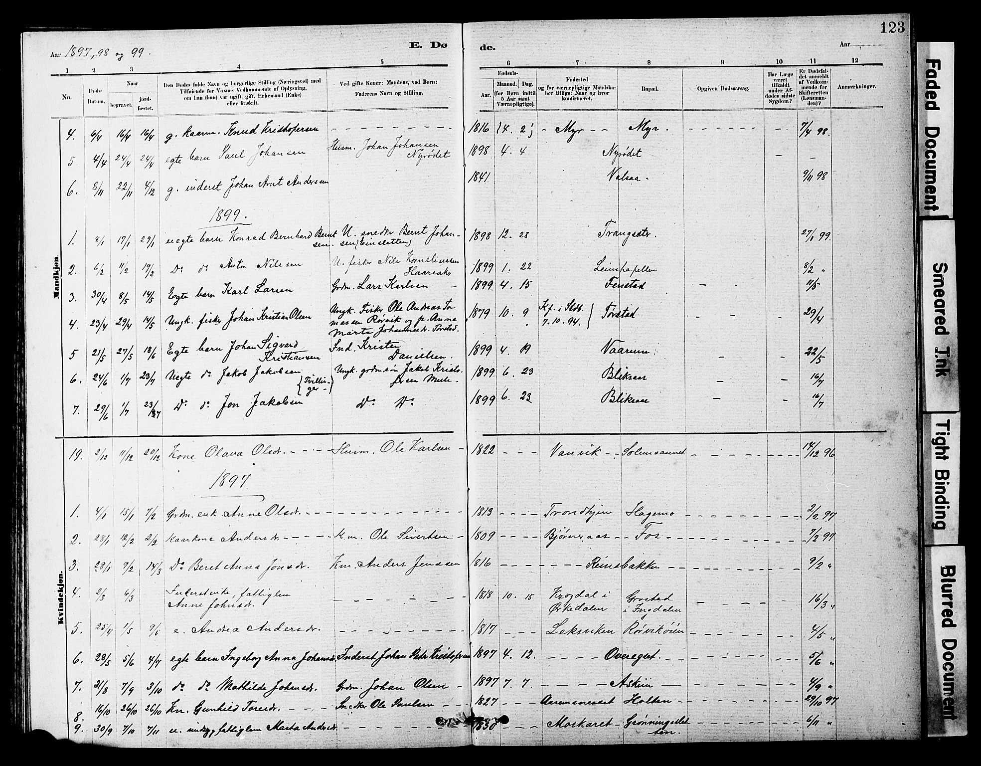 Ministerialprotokoller, klokkerbøker og fødselsregistre - Sør-Trøndelag, SAT/A-1456/646/L0628: Parish register (copy) no. 646C01, 1880-1903, p. 123