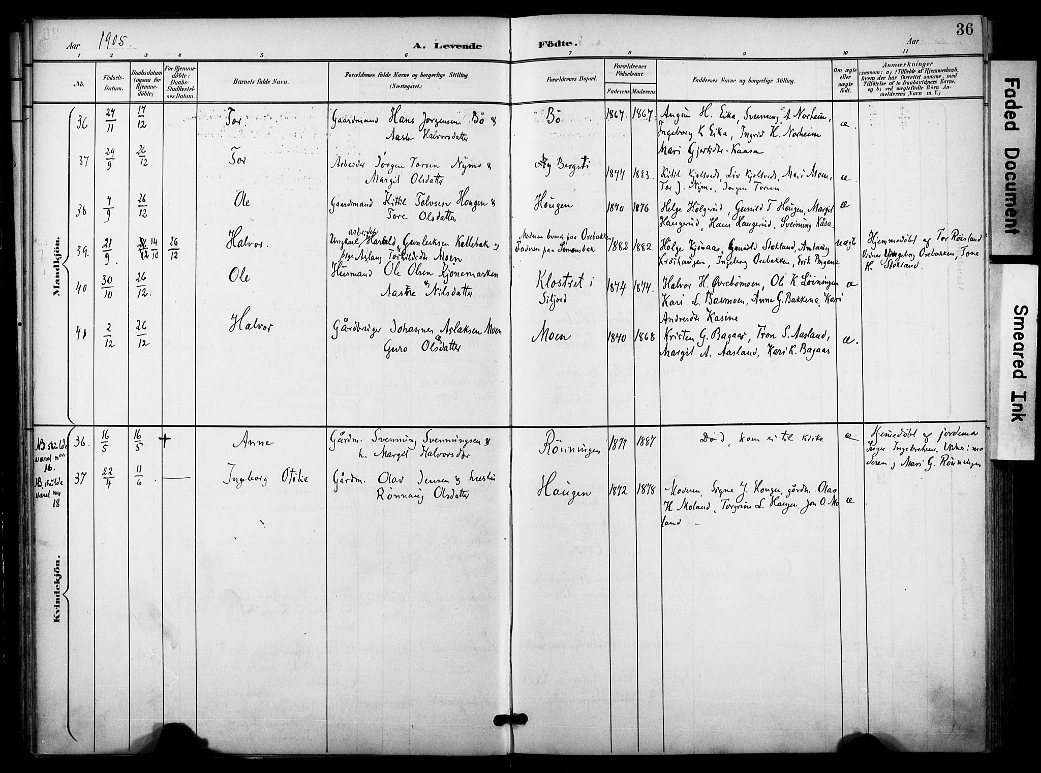 Bø kirkebøker, AV/SAKO-A-257/F/Fa/L0012: Parish register (official) no. 12, 1900-1908, p. 36